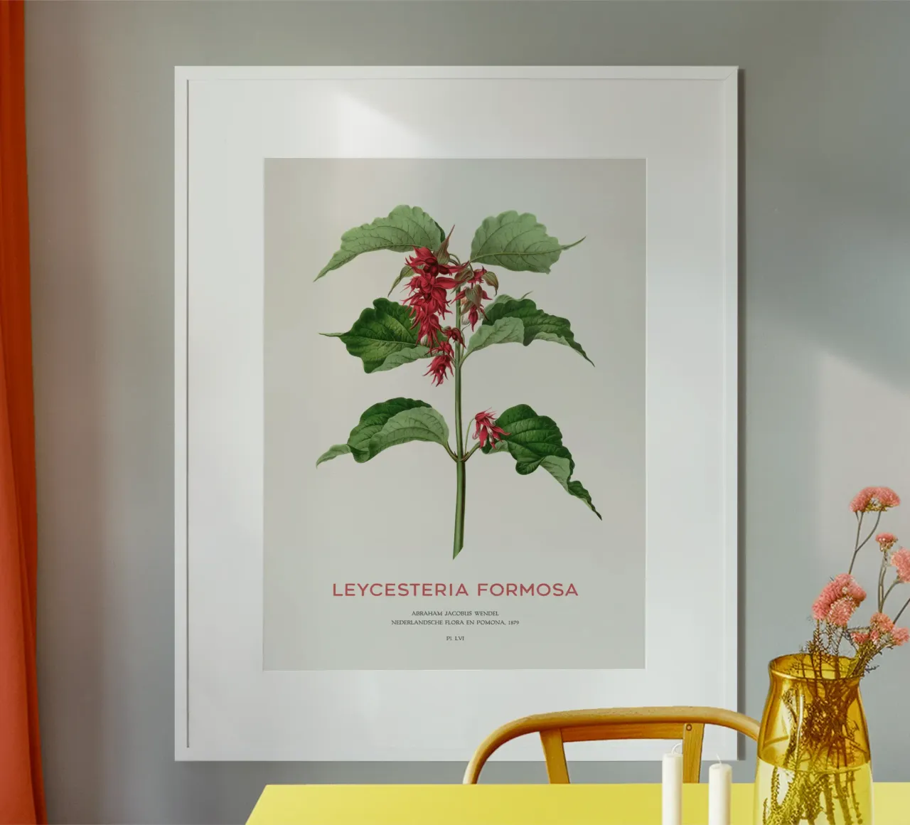 Fasanenbeere oder Leycesteria formosa Hahnemühle von Vintagrafica