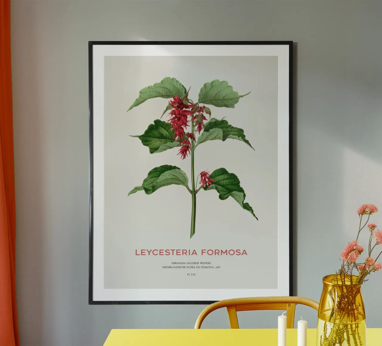 Fasanenbeere oder Leycesteria formosa Hahnemühle von Vintagrafica