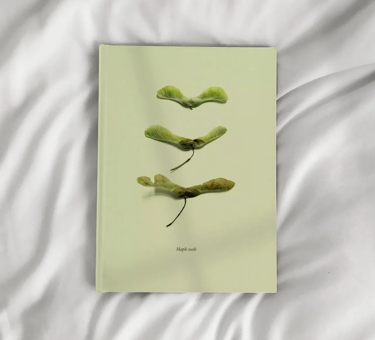 Botanico VIII notebook by Elena Veronese