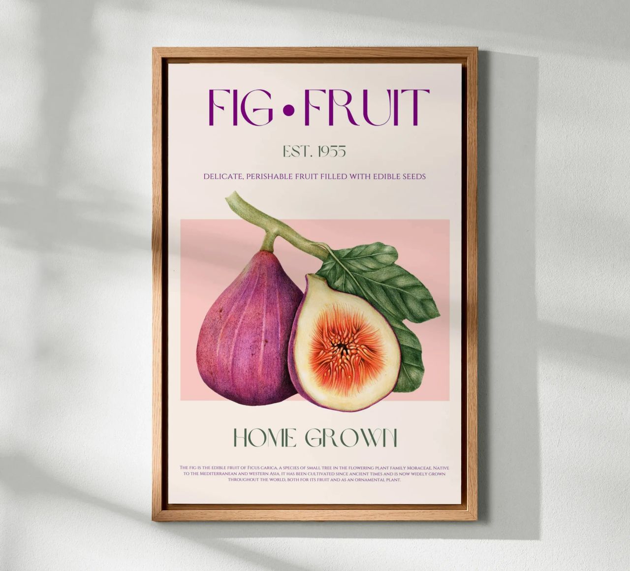 Feige Frucht Druck Leinwand von KOKRPrints