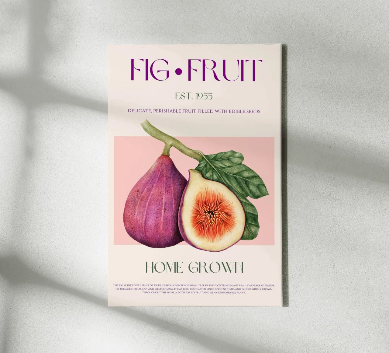 Feige Frucht Druck Leinwand von KOKRPrints