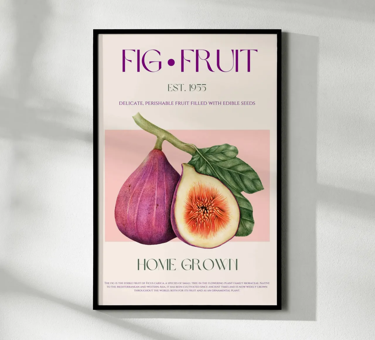 Stampa di fichi e frutta poster con telaio in plastica da KOKRPrints