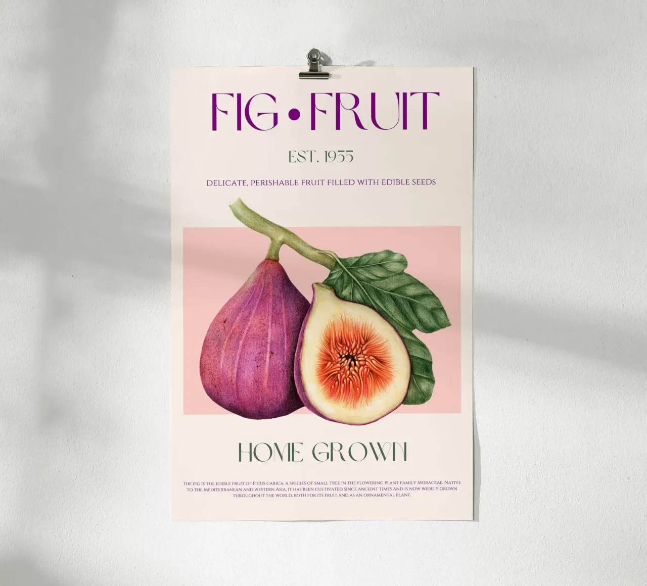 Stampa di fichi e frutta poster con telaio in plastica da KOKRPrints