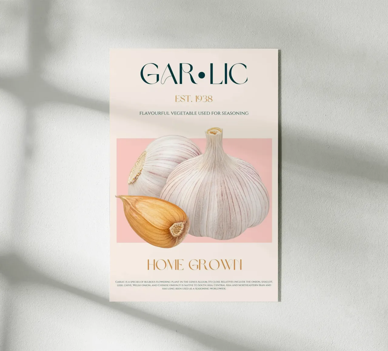 Garlic Print acrylic glass by KOKRPrints