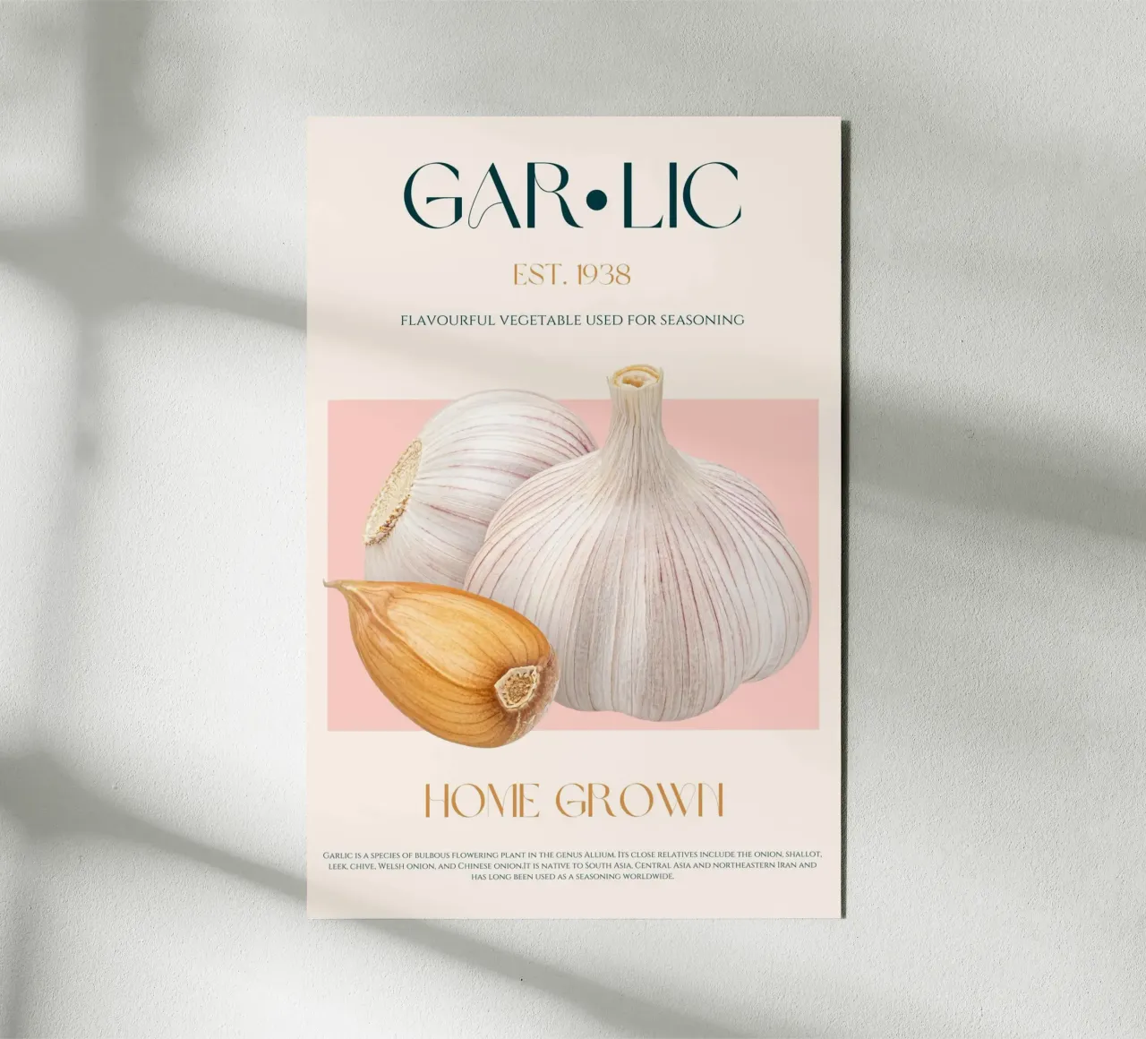 Garlic Print alu-dibond by KOKRPrints