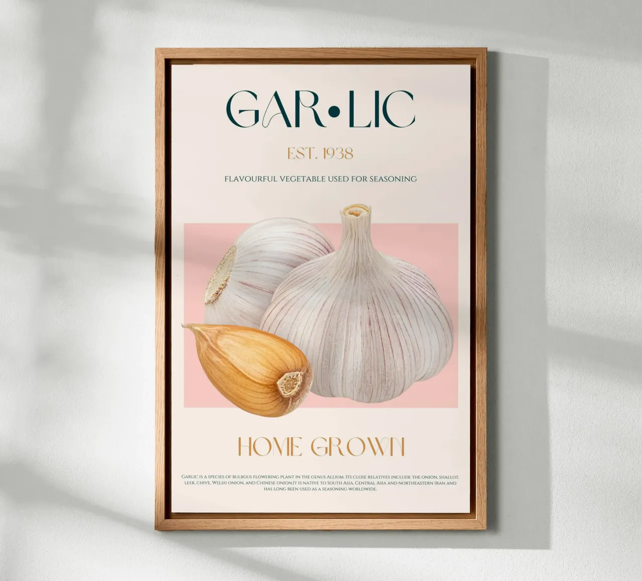 Garlic Print canvas with Floater frame by KOKRPrints