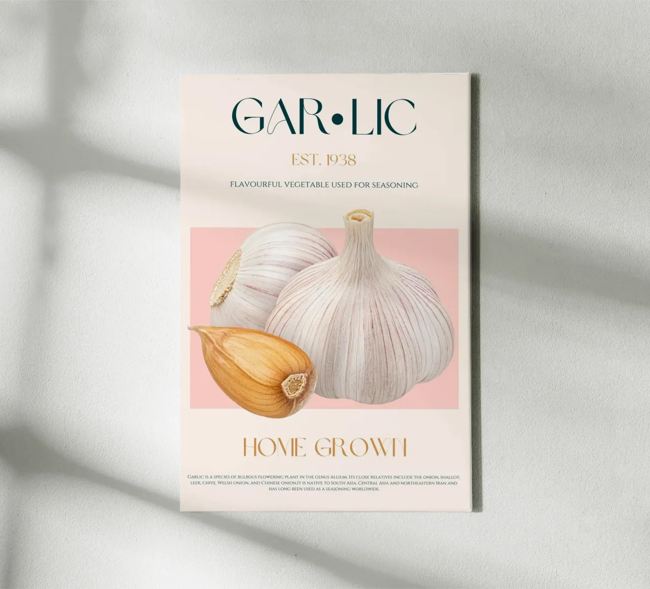 Garlic Print canvas by KOKRPrints