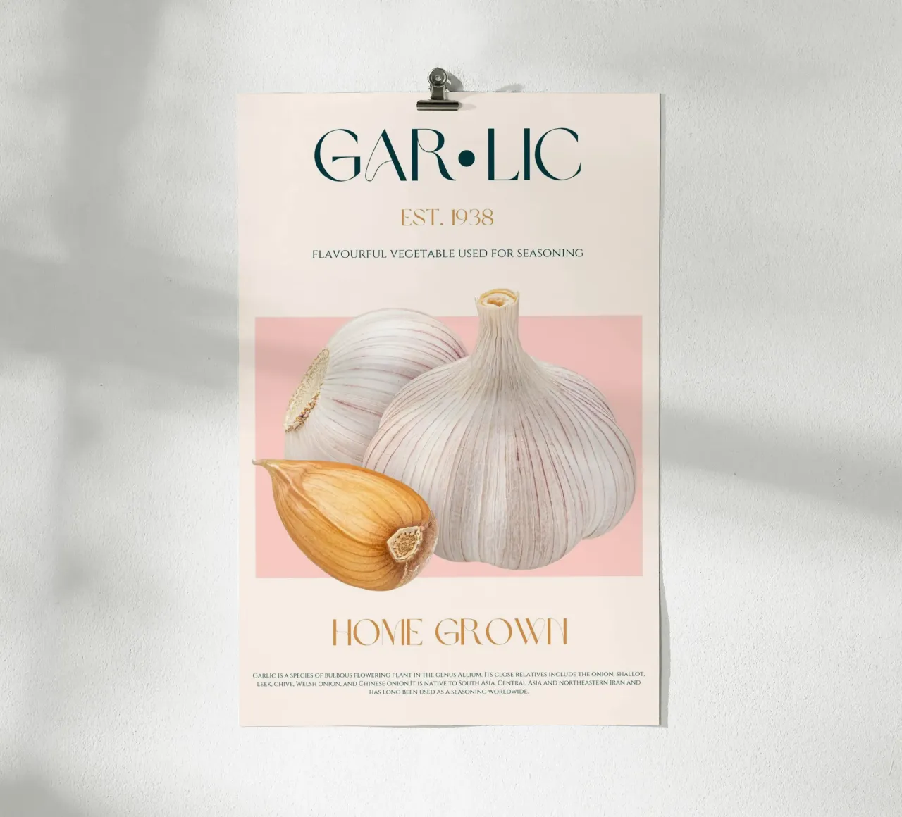 Garlic Print poster by KOKRPrints