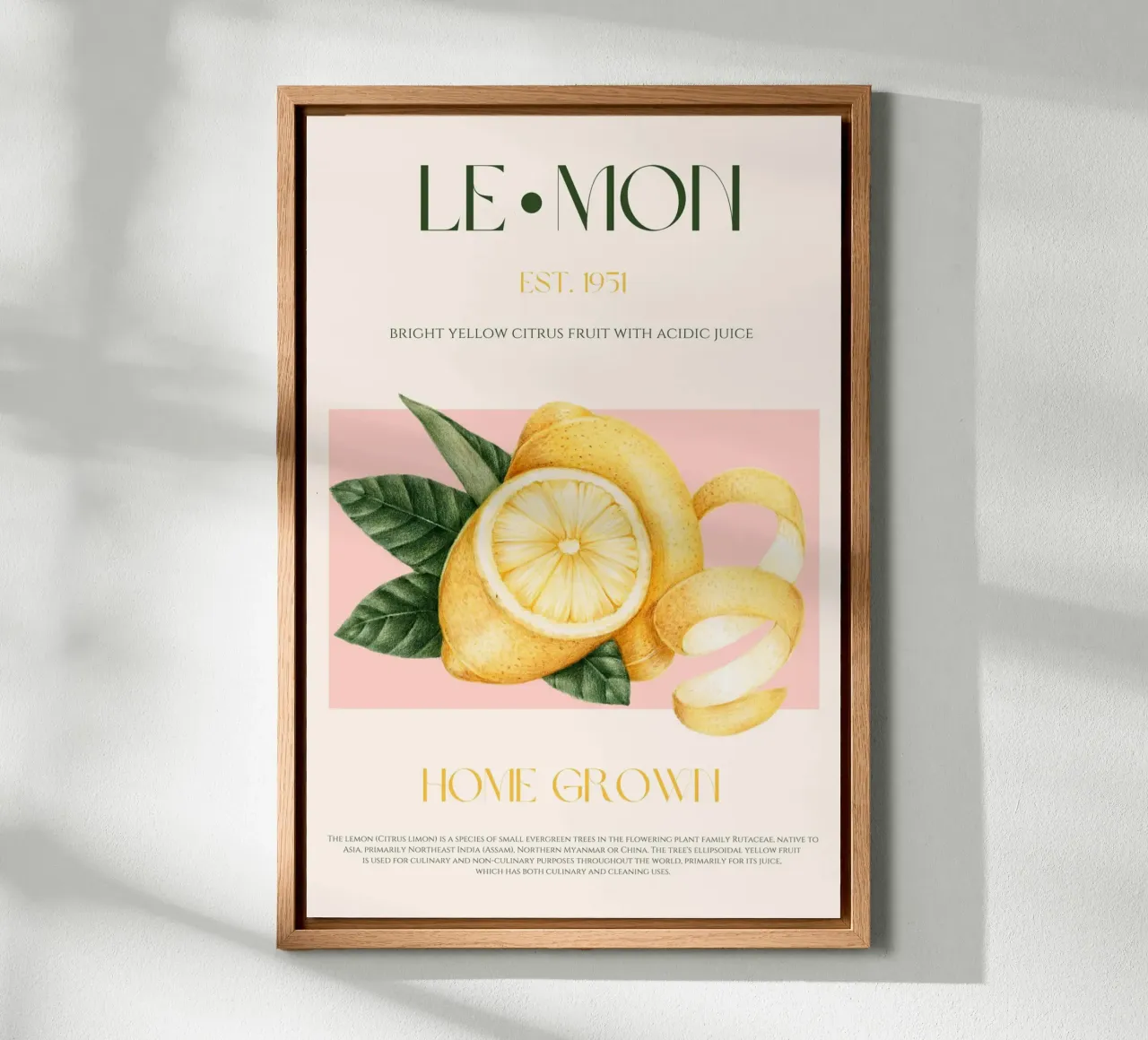 Lemon Fruit Print canvas with Floater frame by KOKRPrints