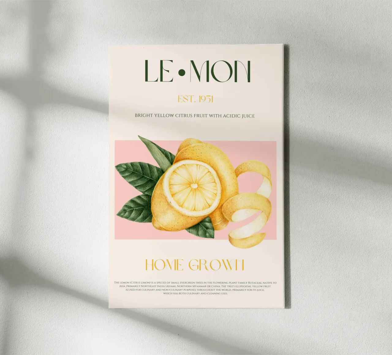 Lemon Fruit Print canvas with Floater frame by KOKRPrints