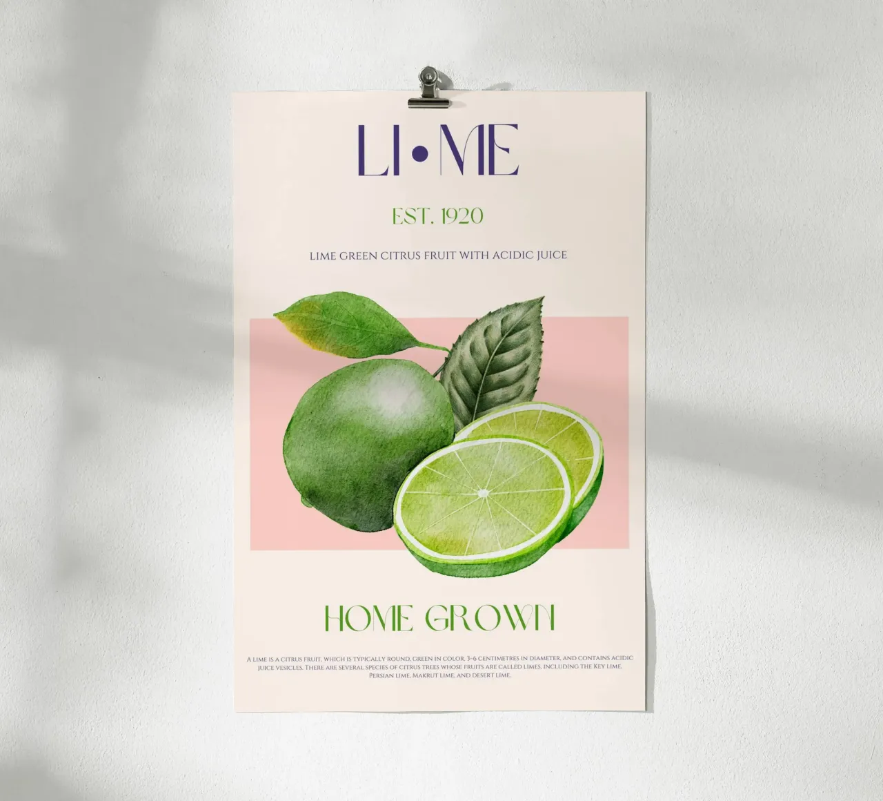 Lime Fruit Print poster by KOKRPrints