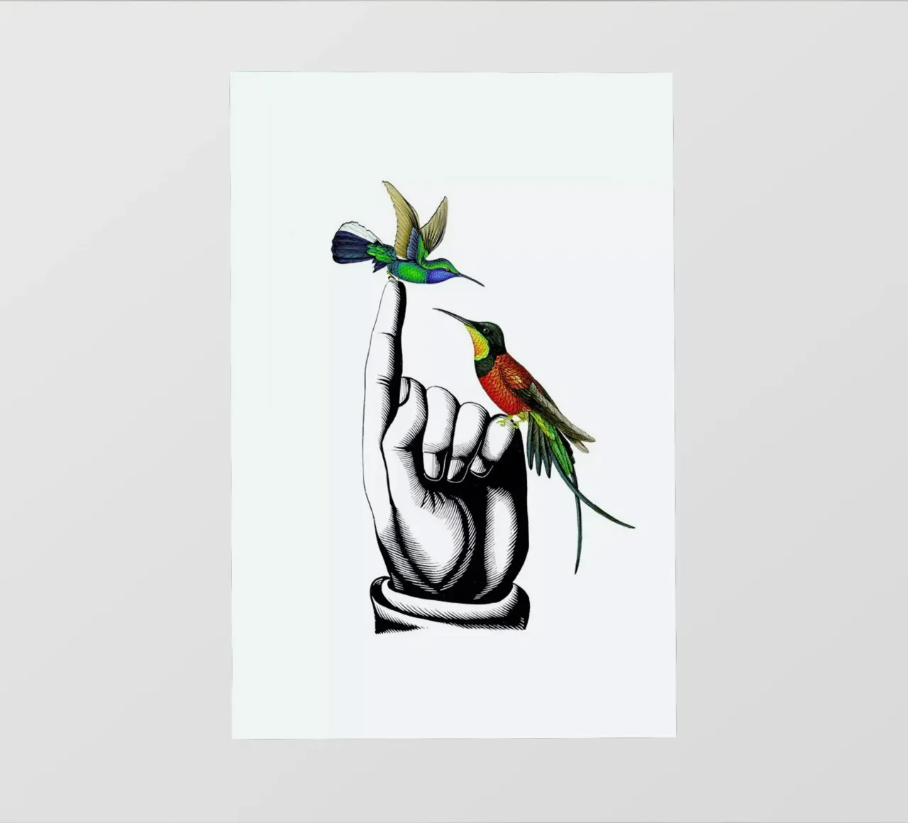 Hummingbirds on hand pellicola backlit da Rococco LA