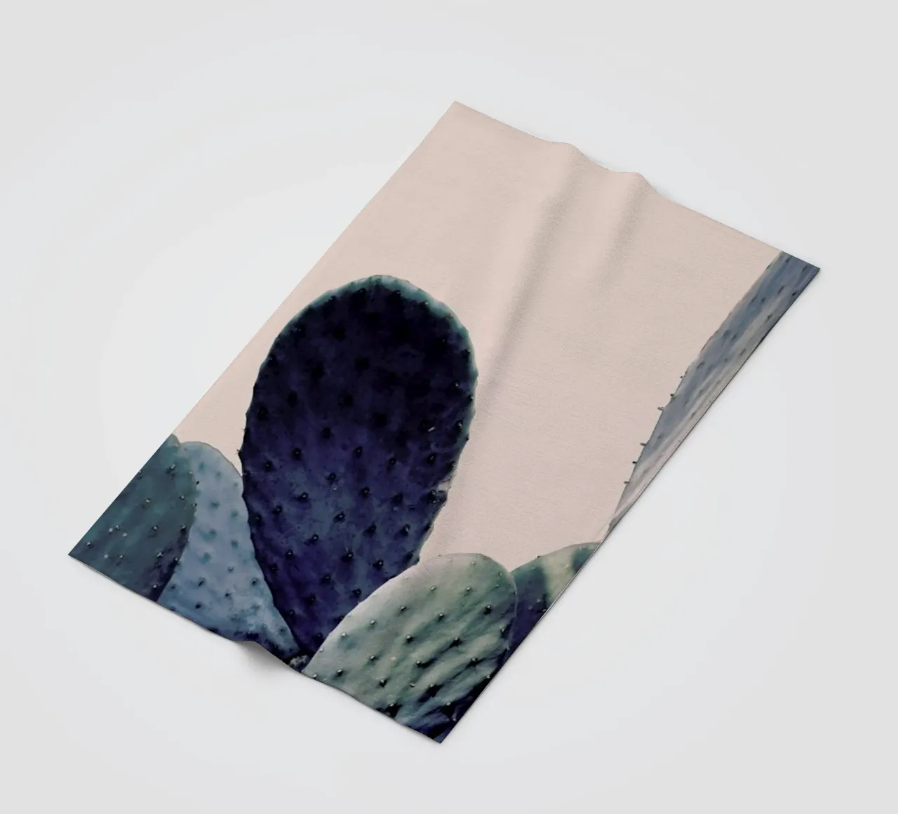 Cactus I coperta in pile da Elena Veronese