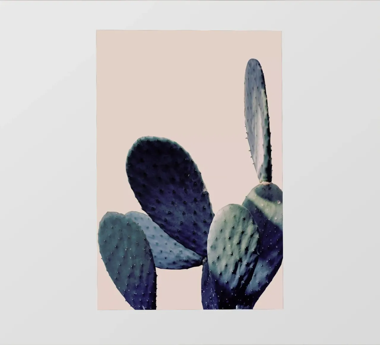 Cactus I telo in pvc da Elena Veronese