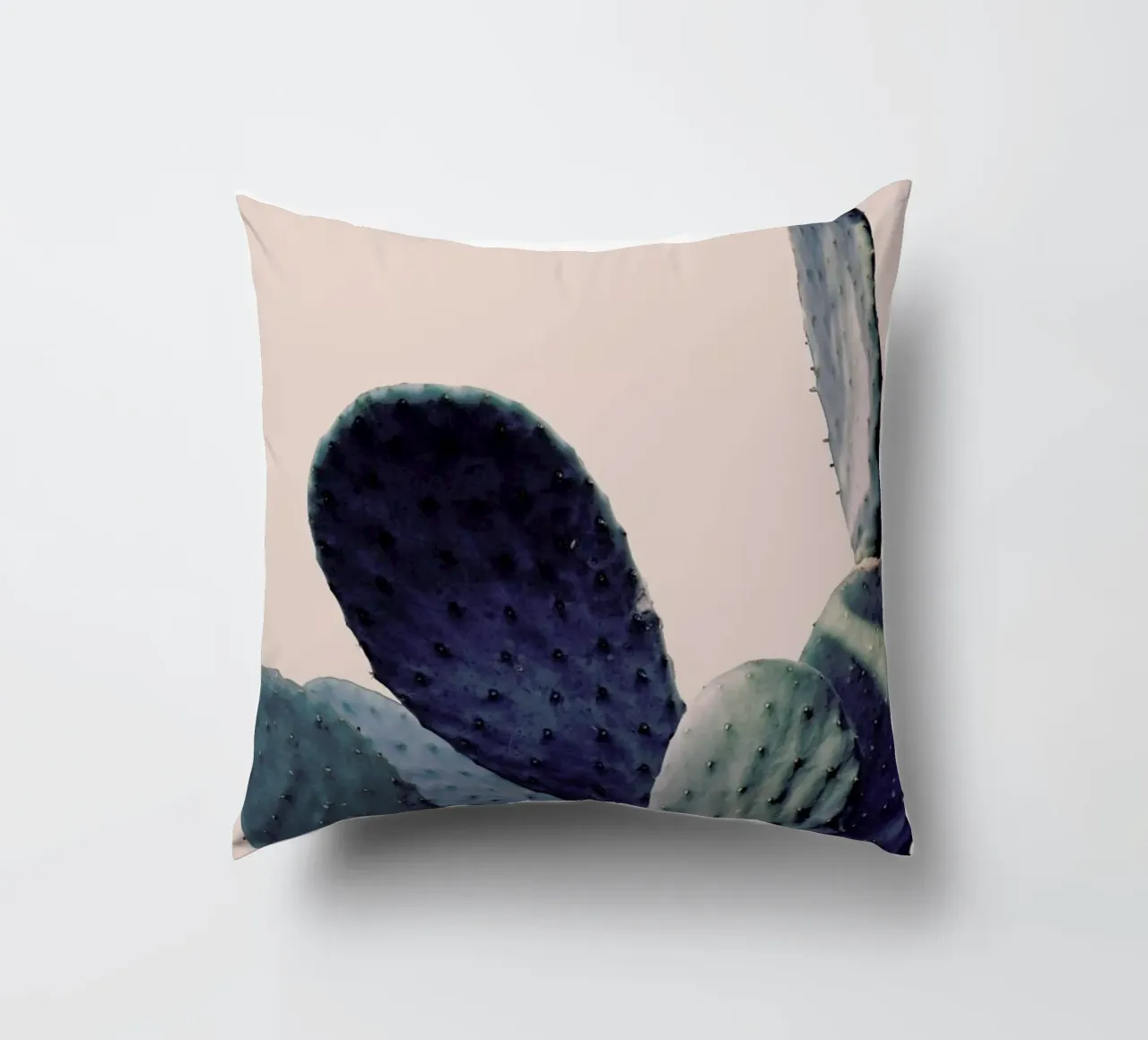 Cactus I cuscino da Elena Veronese