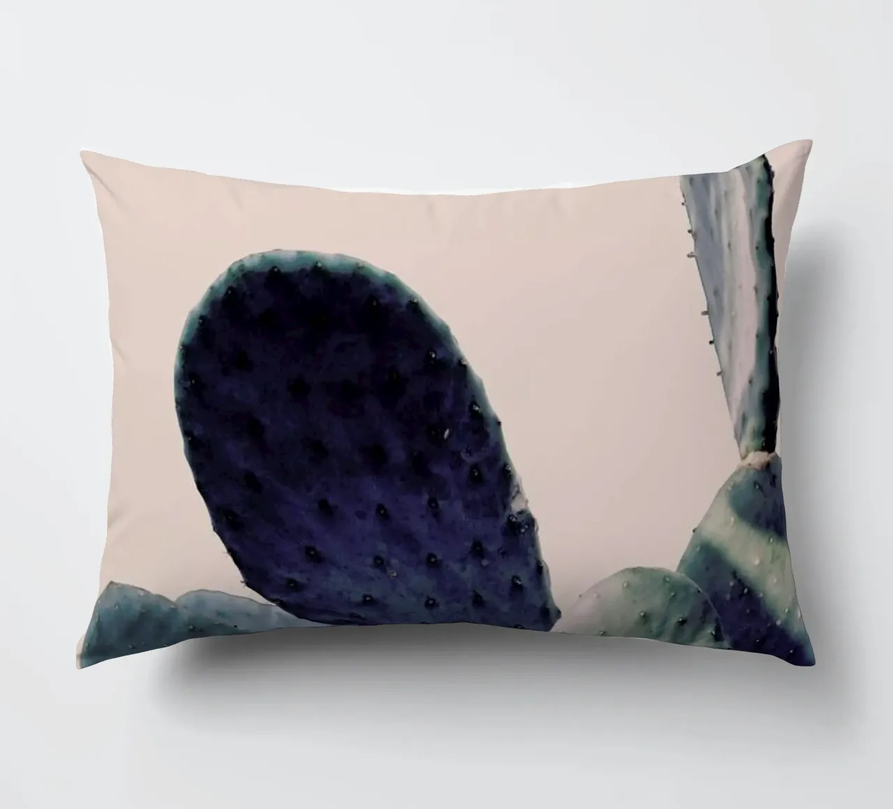 Cactus I cuscino da Elena Veronese