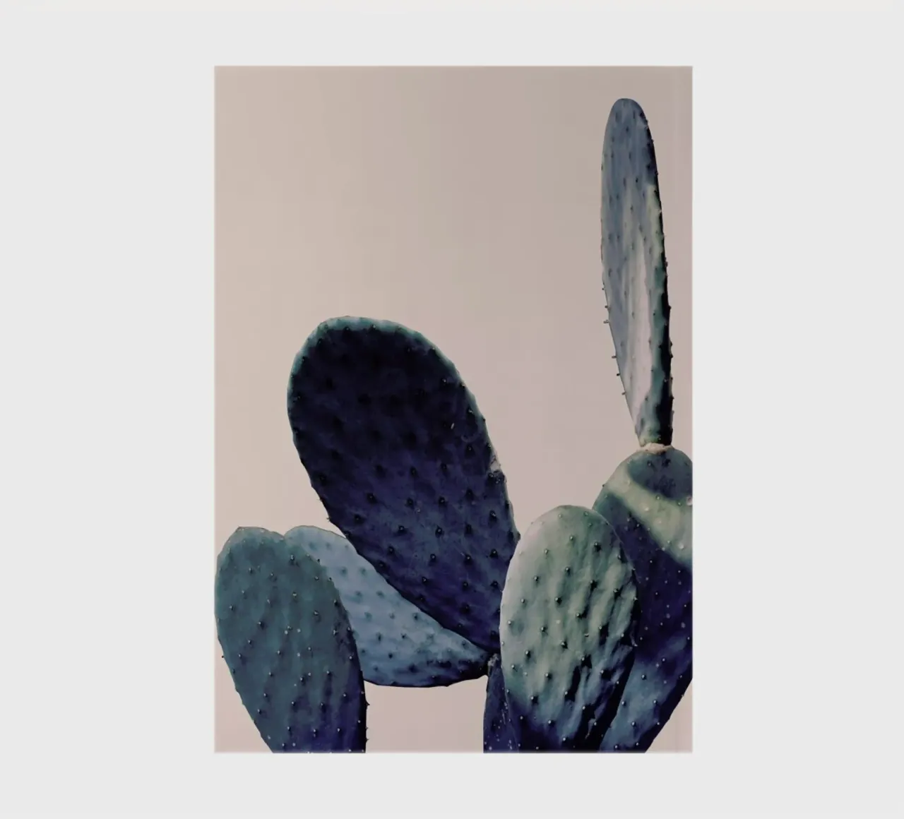 Cactus I notebook by Elena Veronese