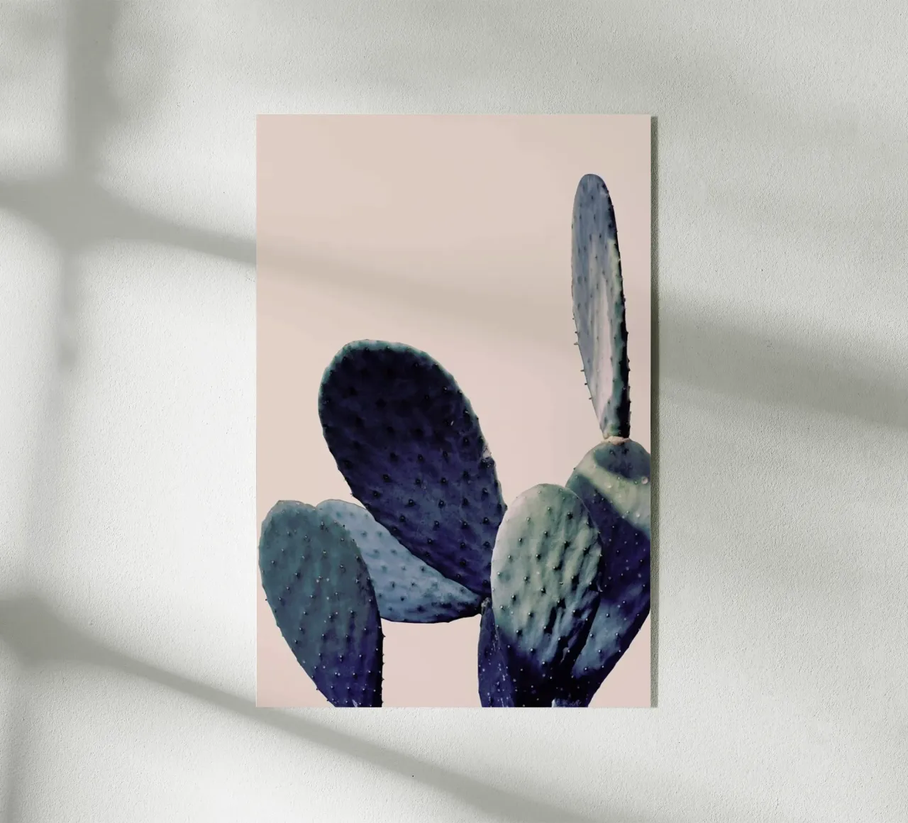 Cactus I plexiglass da Elena Veronese