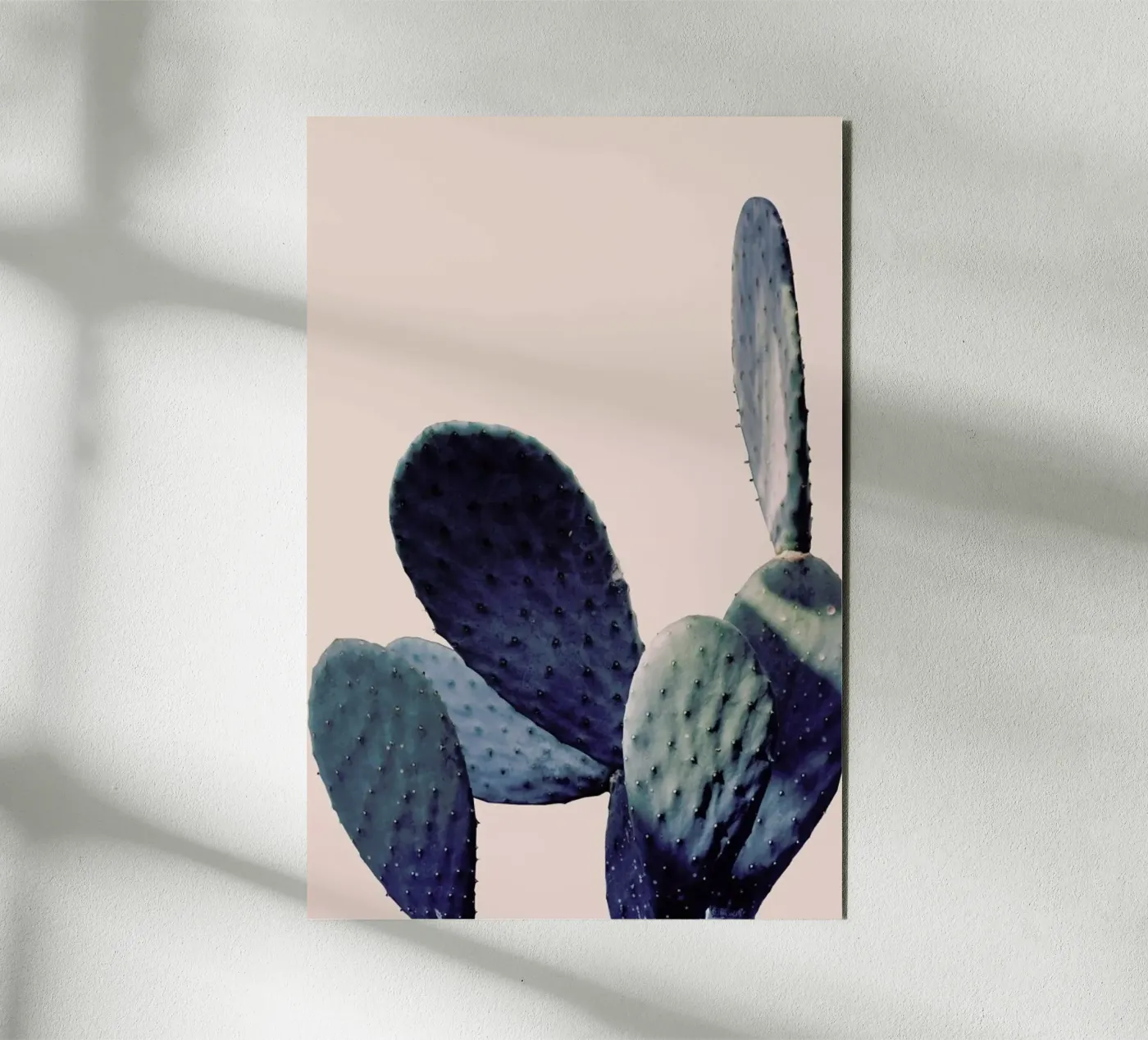 Cactus I alluminio dibond da Elena Veronese