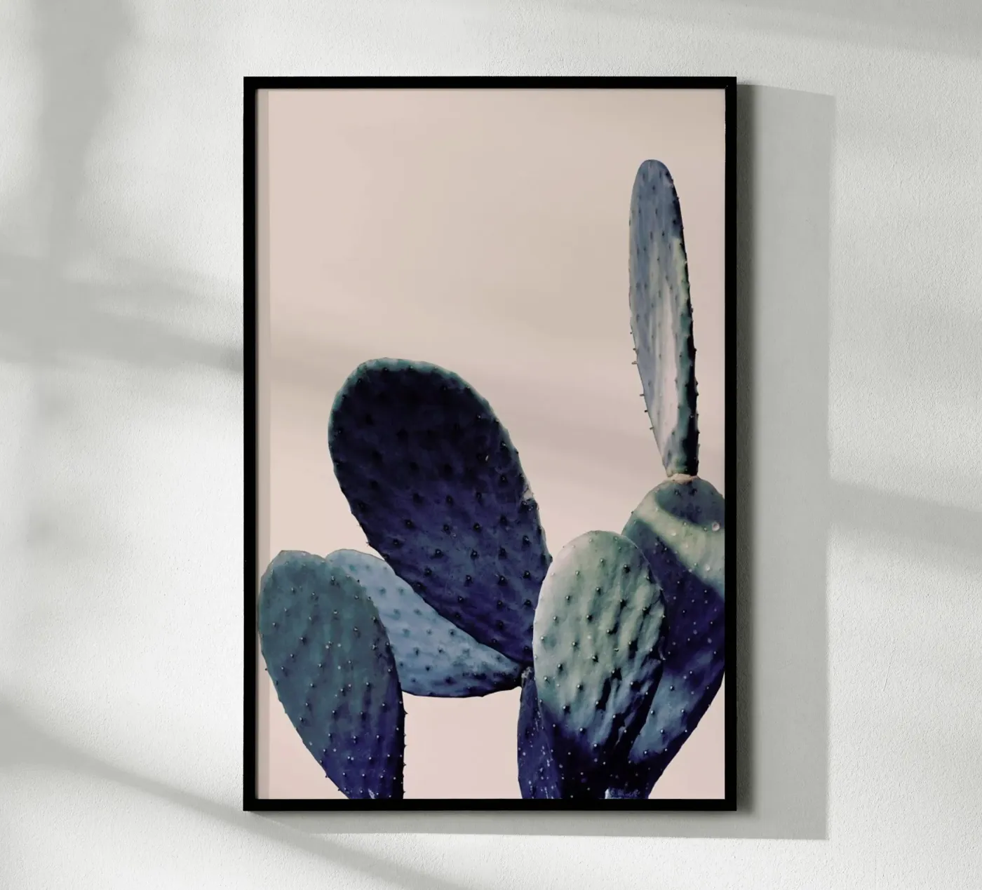 Cactus I poster van Elena Veronese