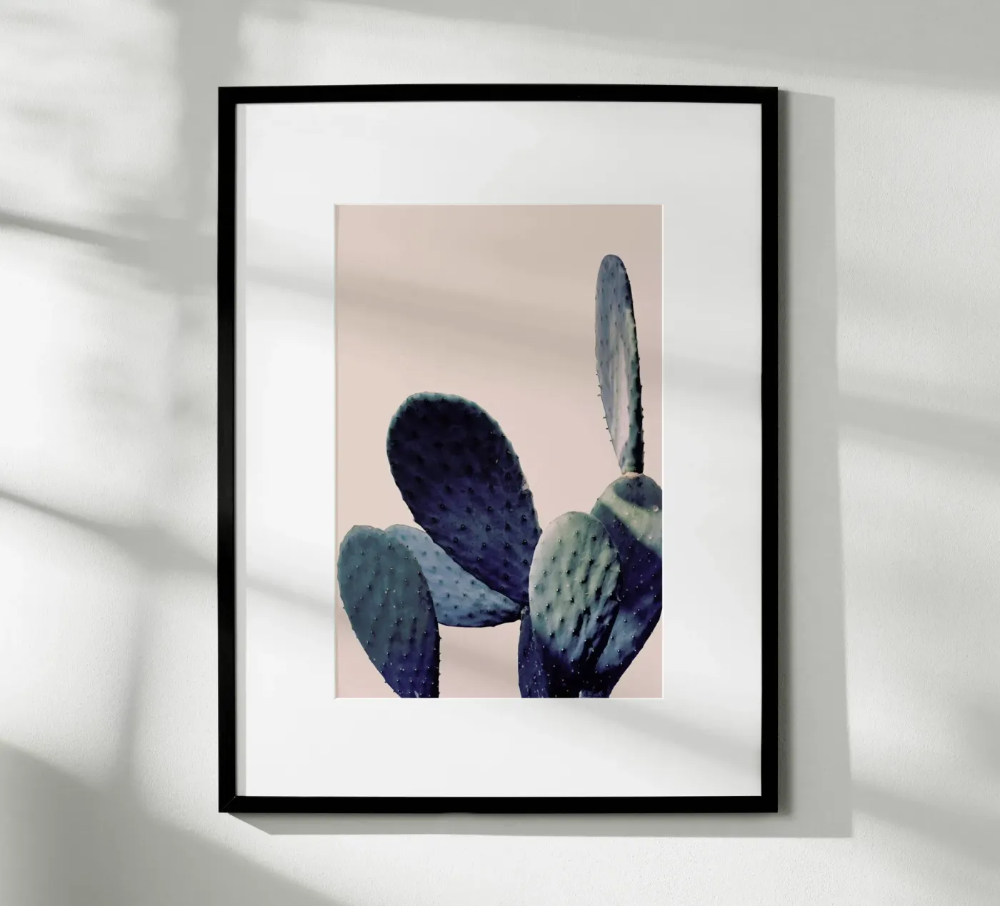 Cactus I poster van Elena Veronese