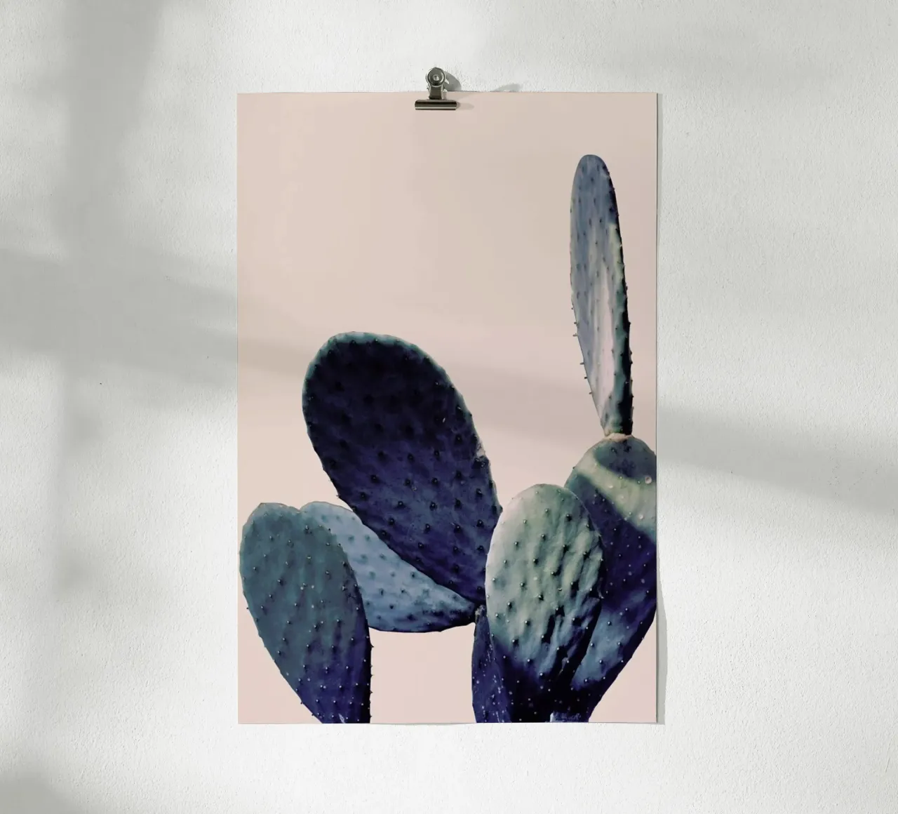 Cactus I poster da Elena Veronese