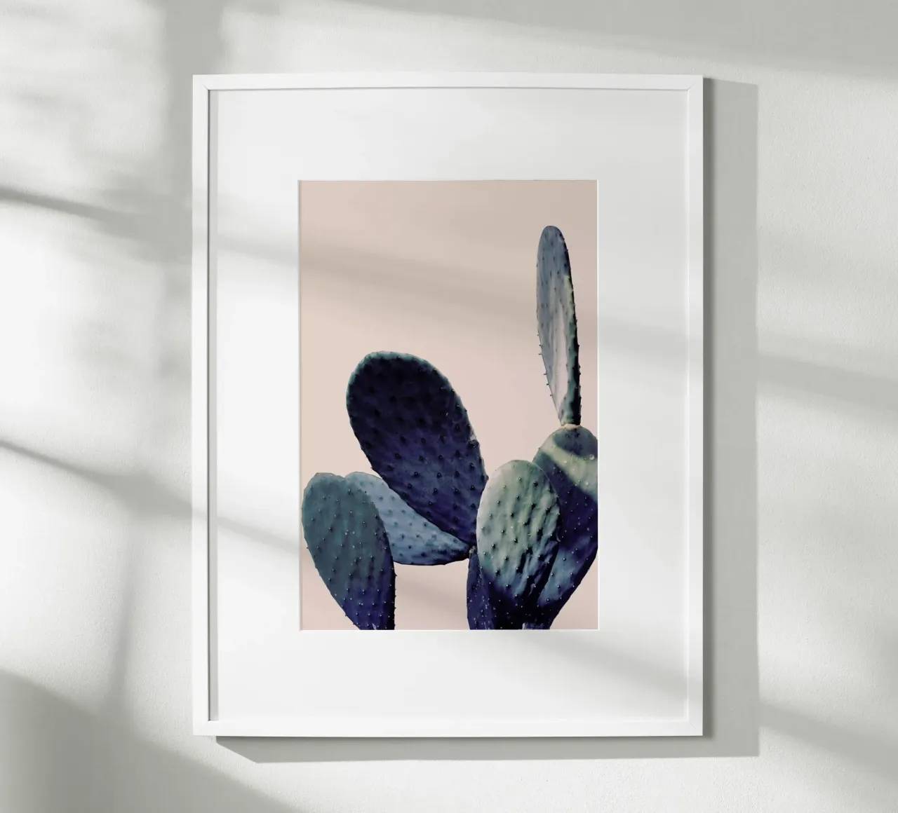 Cactus I poster da Elena Veronese