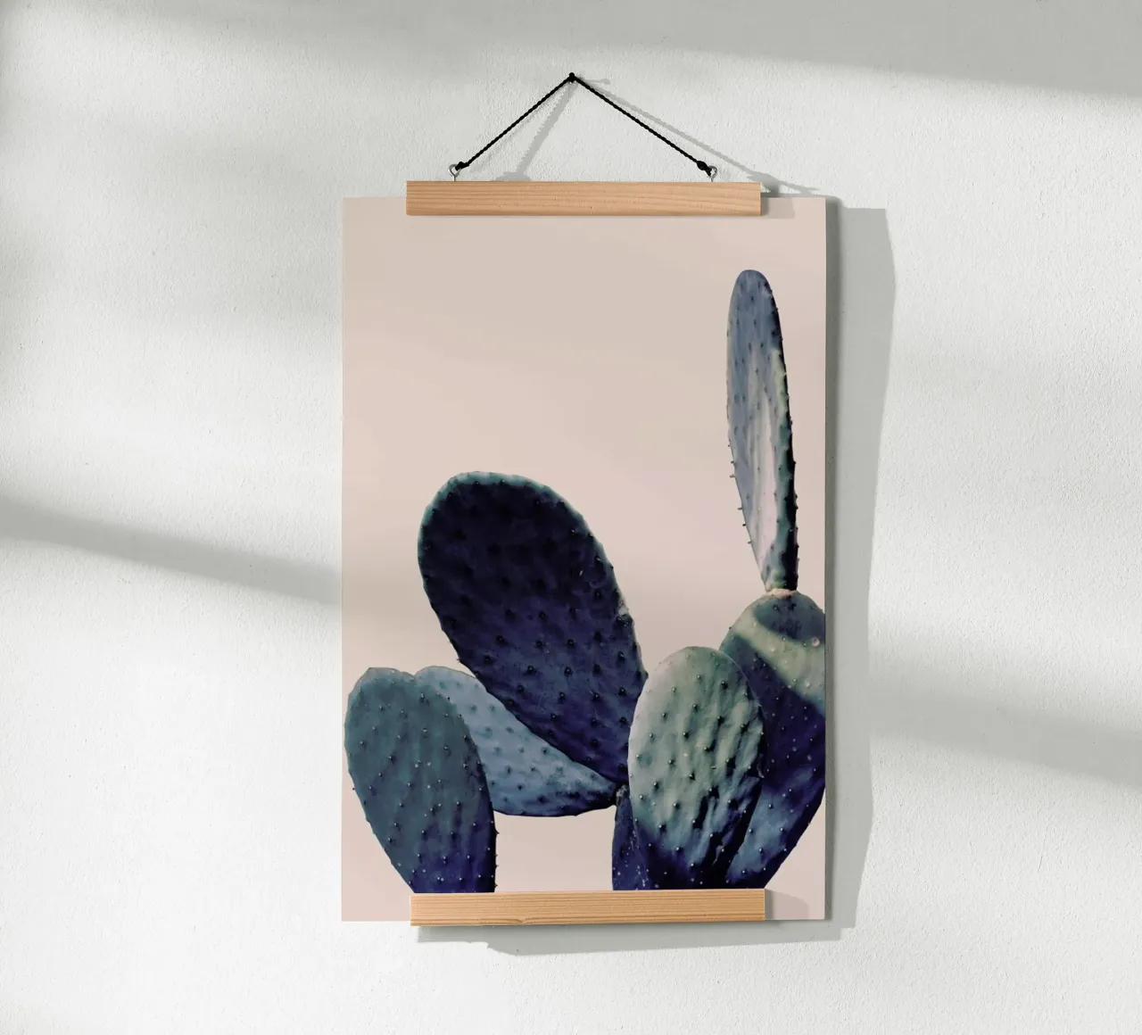 Cactus I poster da Elena Veronese