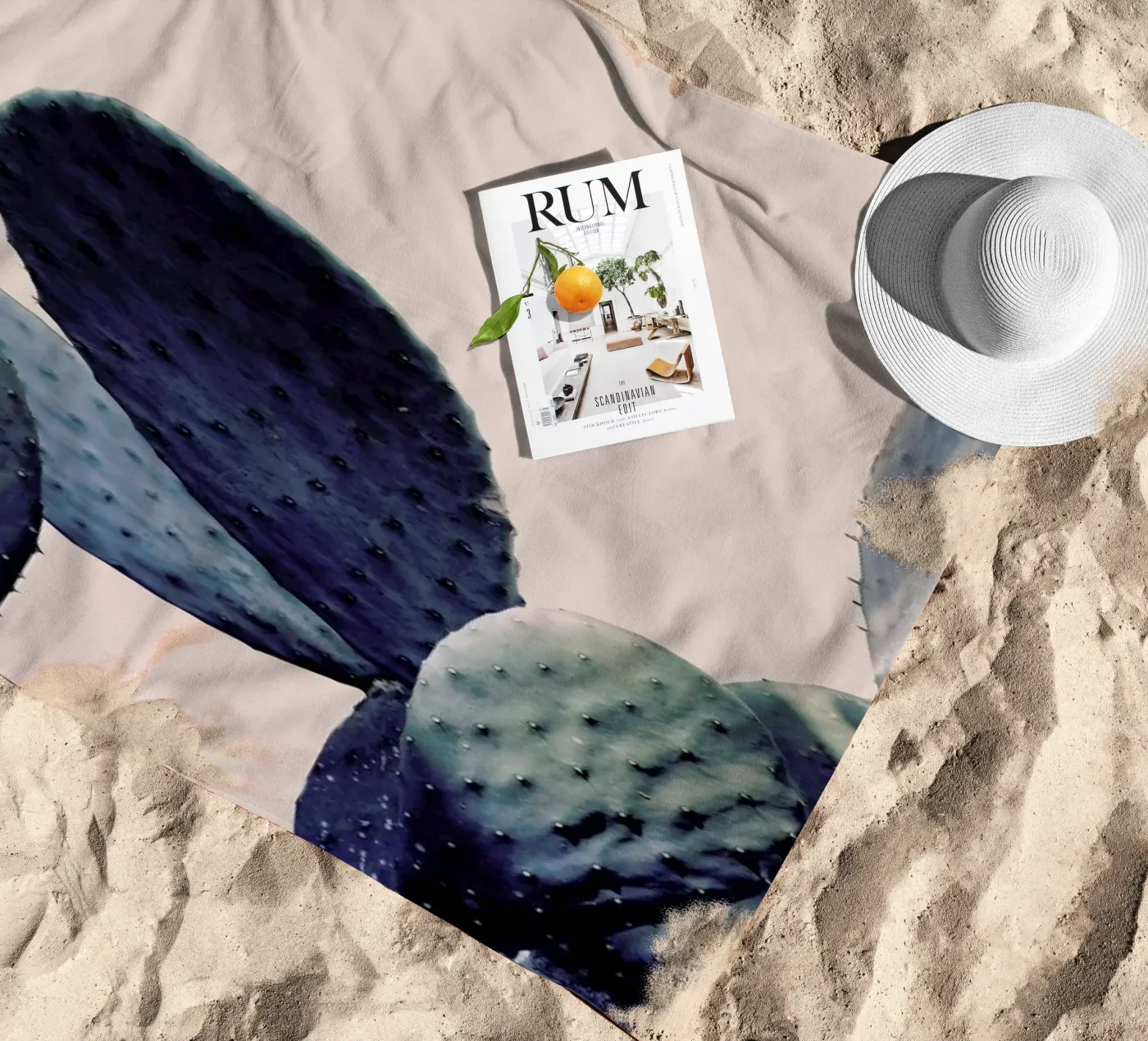 Cactus I telo mare da Elena Veronese