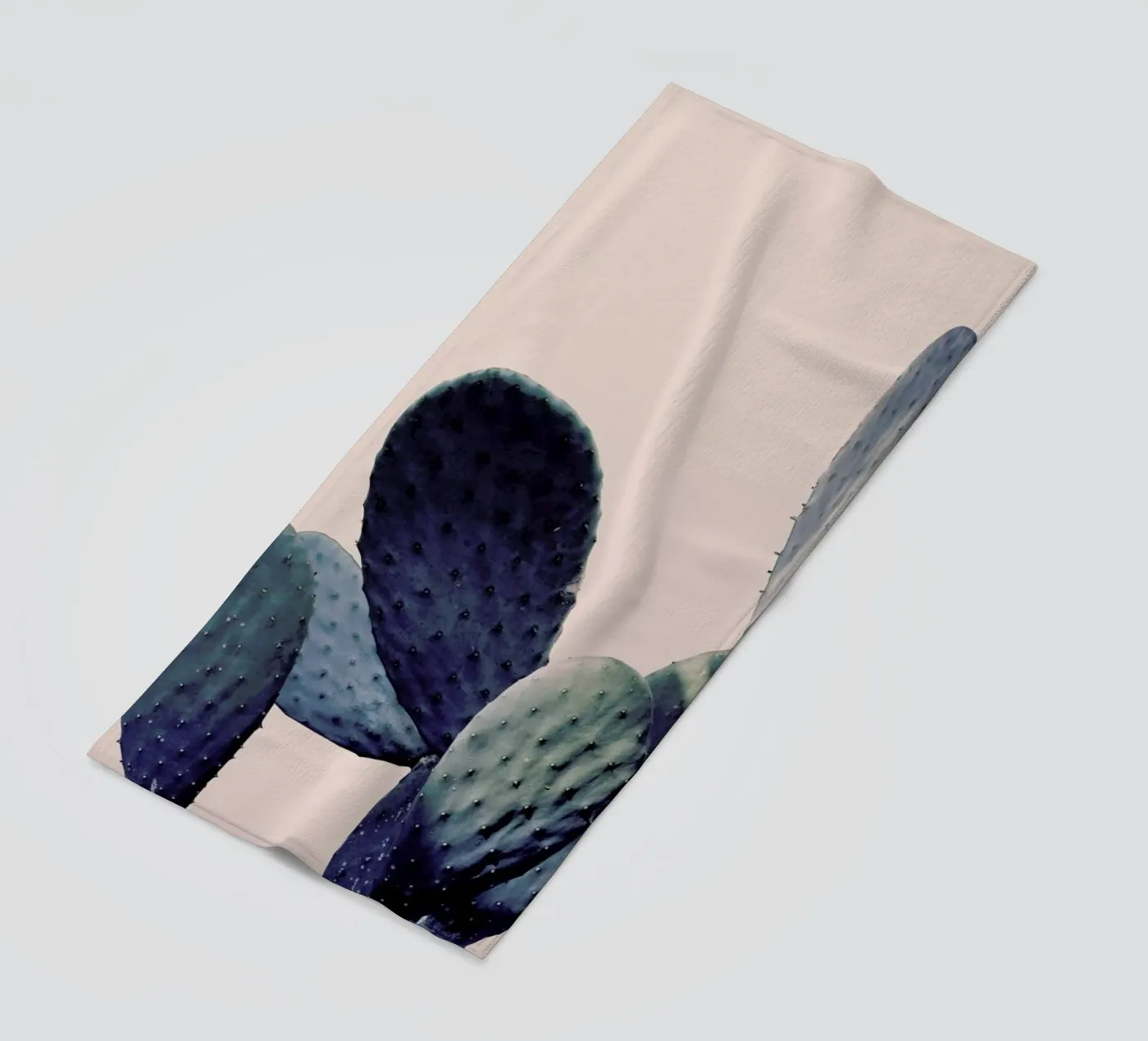 Cactus I telo mare da Elena Veronese