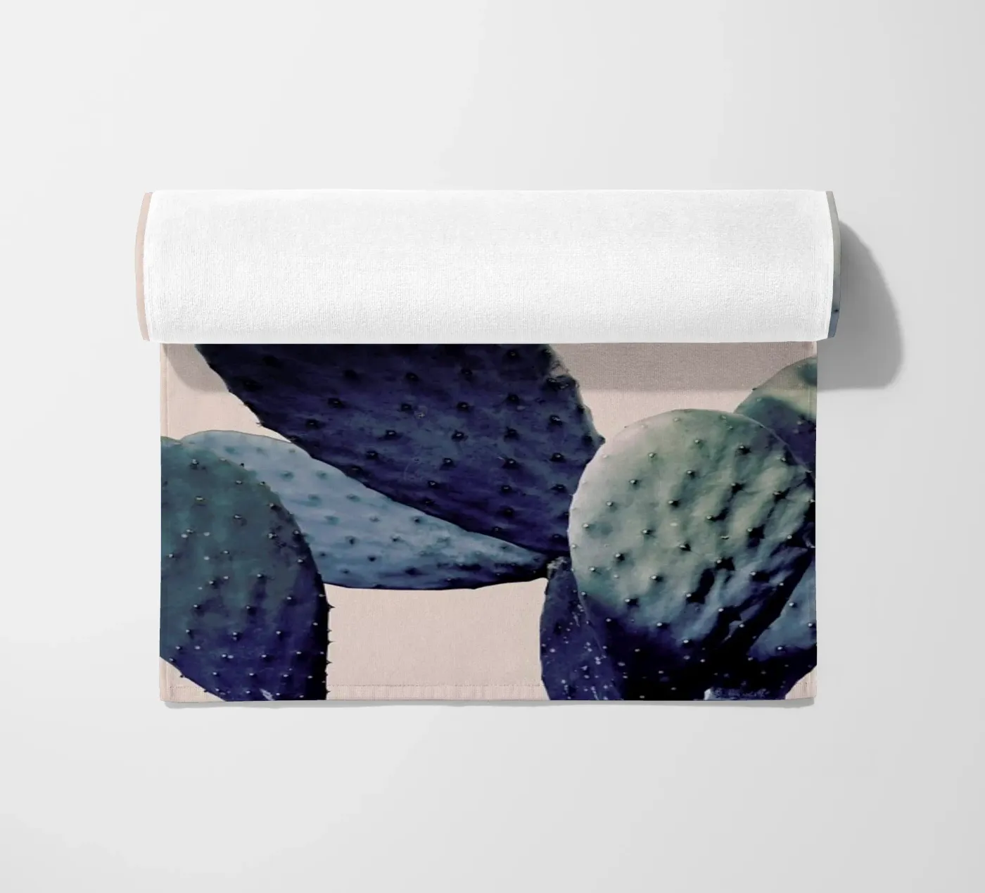 Cactus I telo mare da Elena Veronese