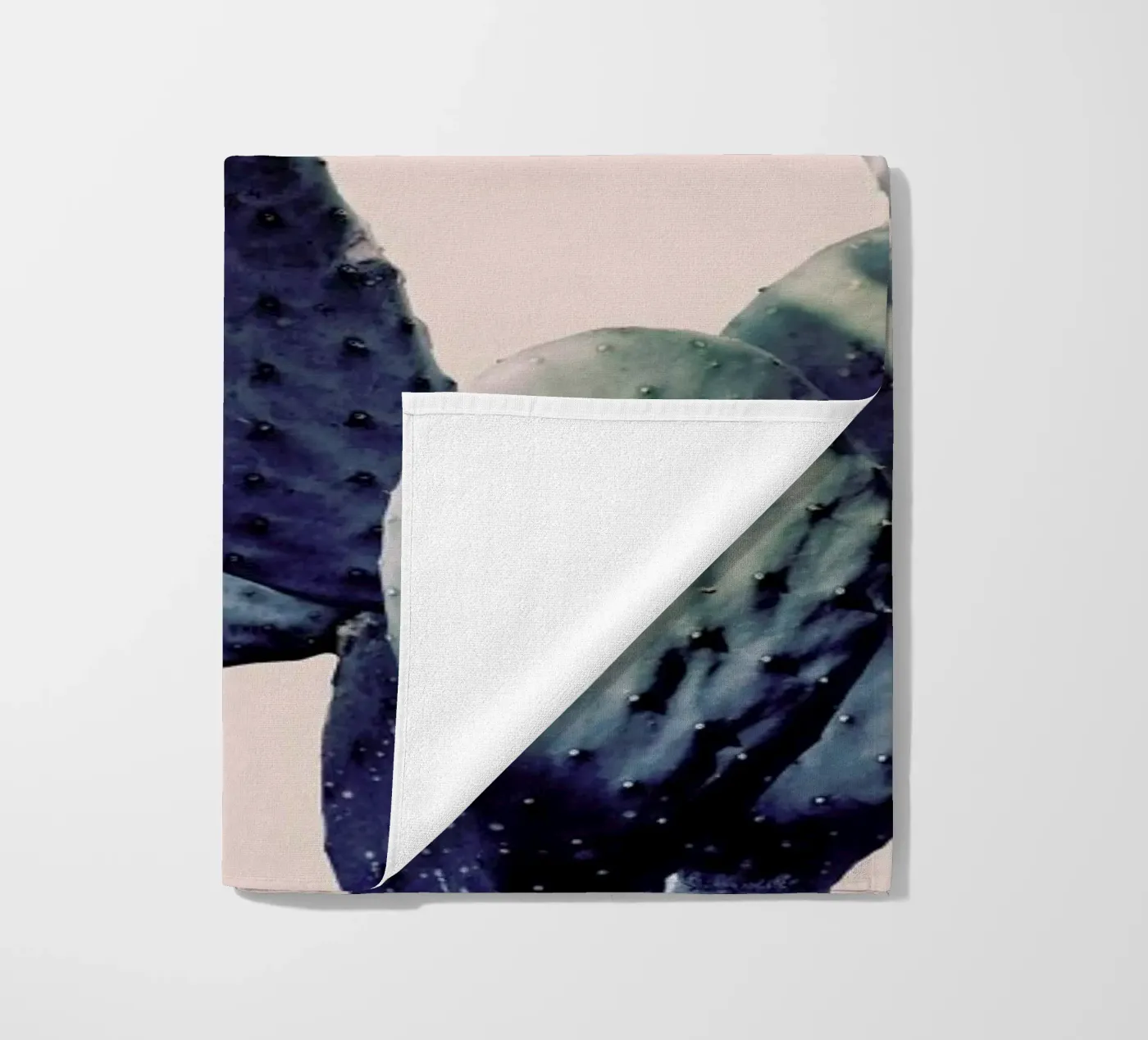 Cactus I telo mare da Elena Veronese