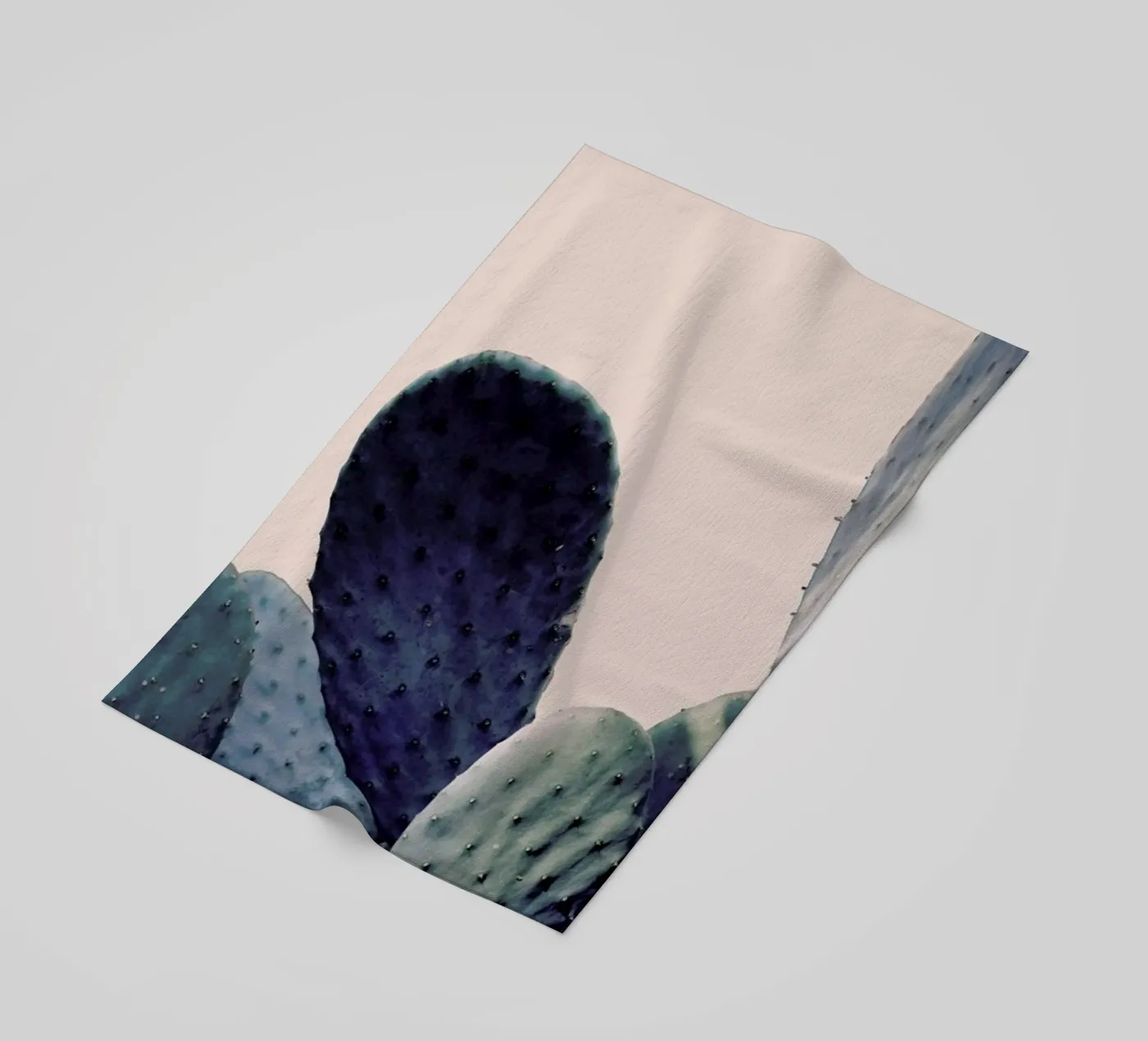 Cactus I telo mare da Elena Veronese