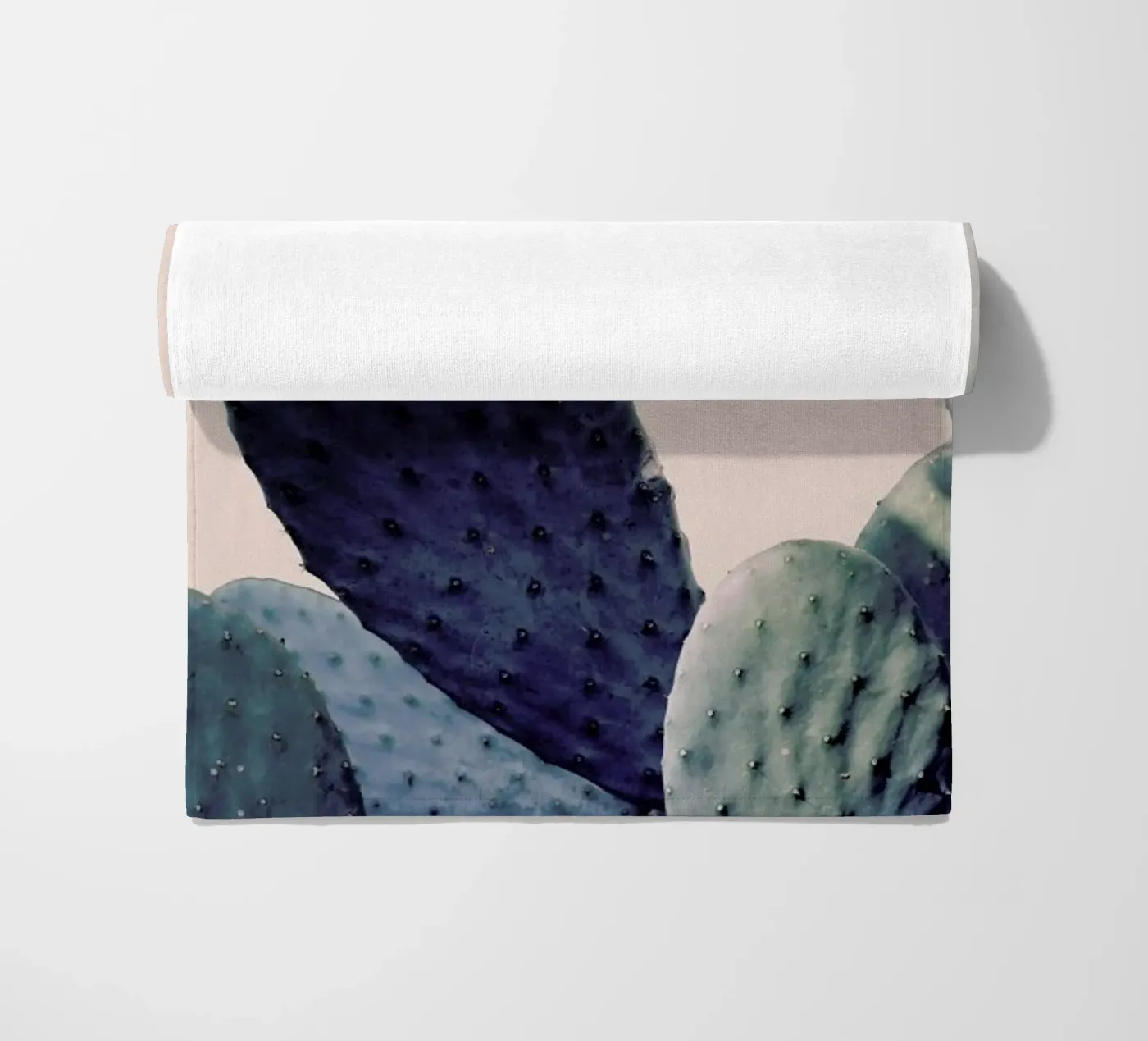 Cactus I telo mare da Elena Veronese