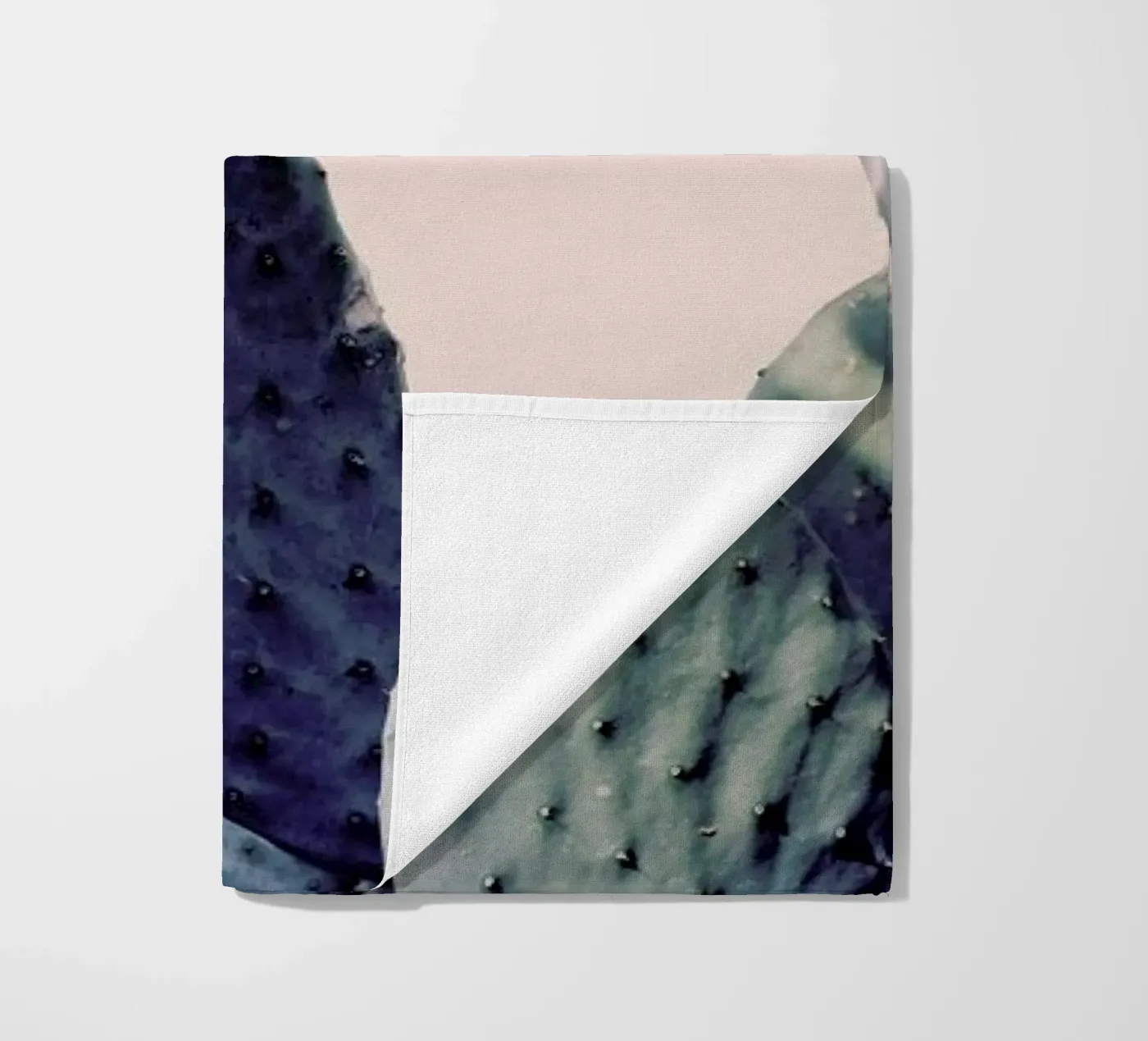 Cactus I telo mare da Elena Veronese