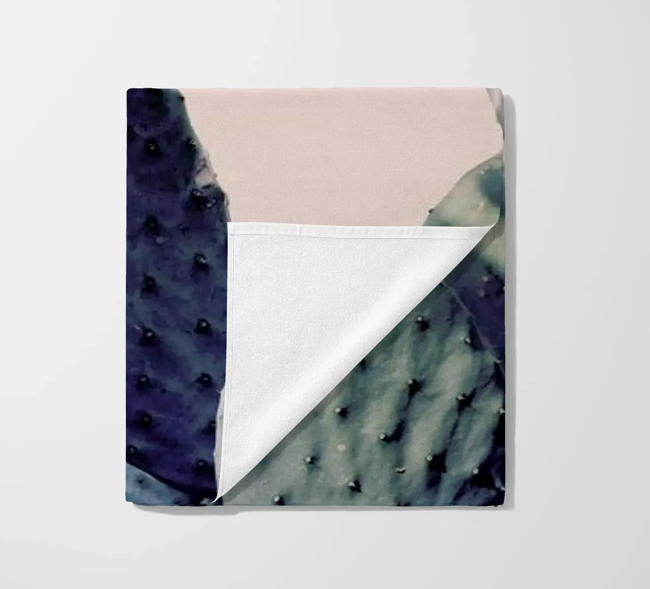 Cactus I telo mare da Elena Veronese