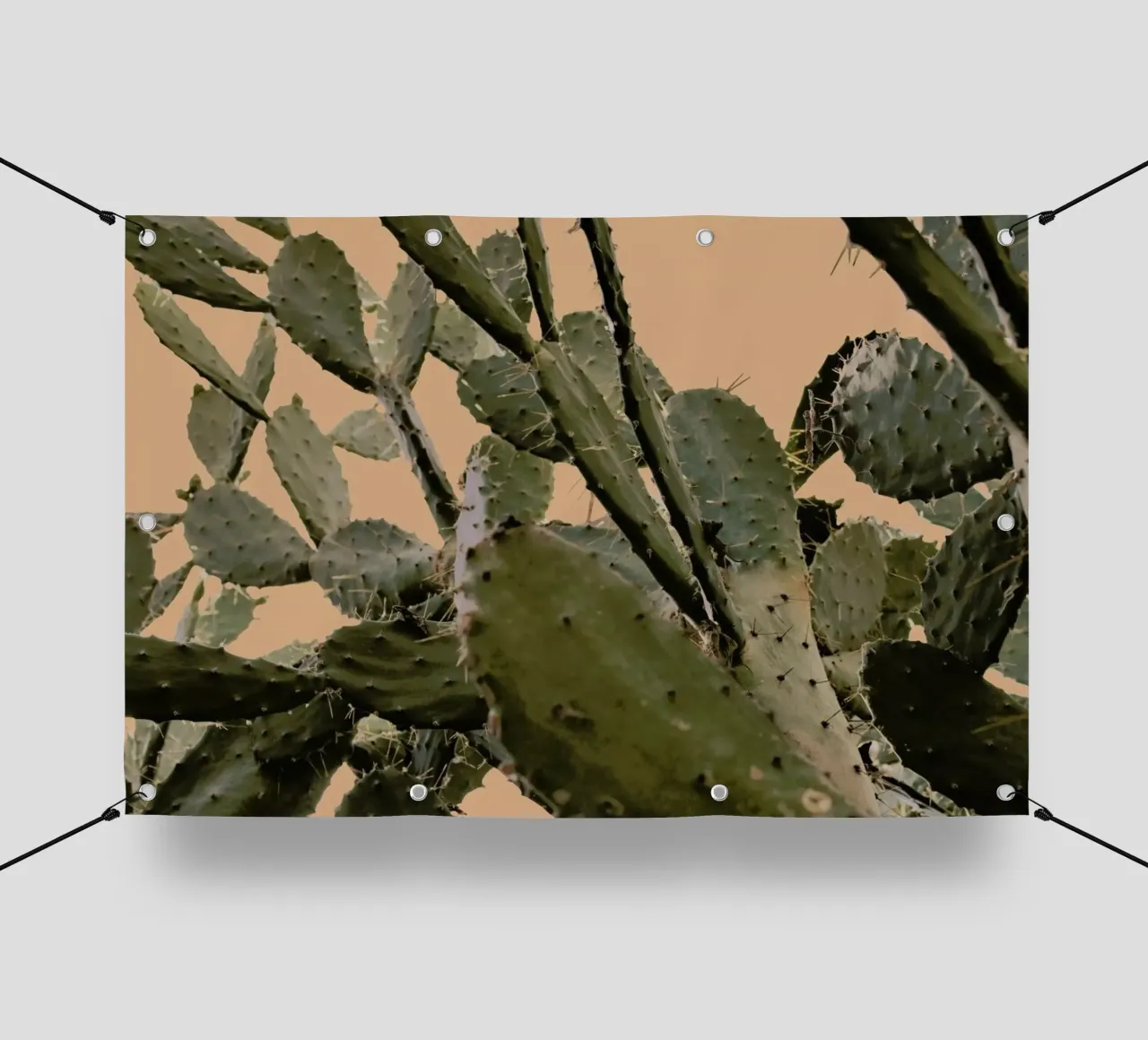 Cactus II telo in pvc da Elena Veronese