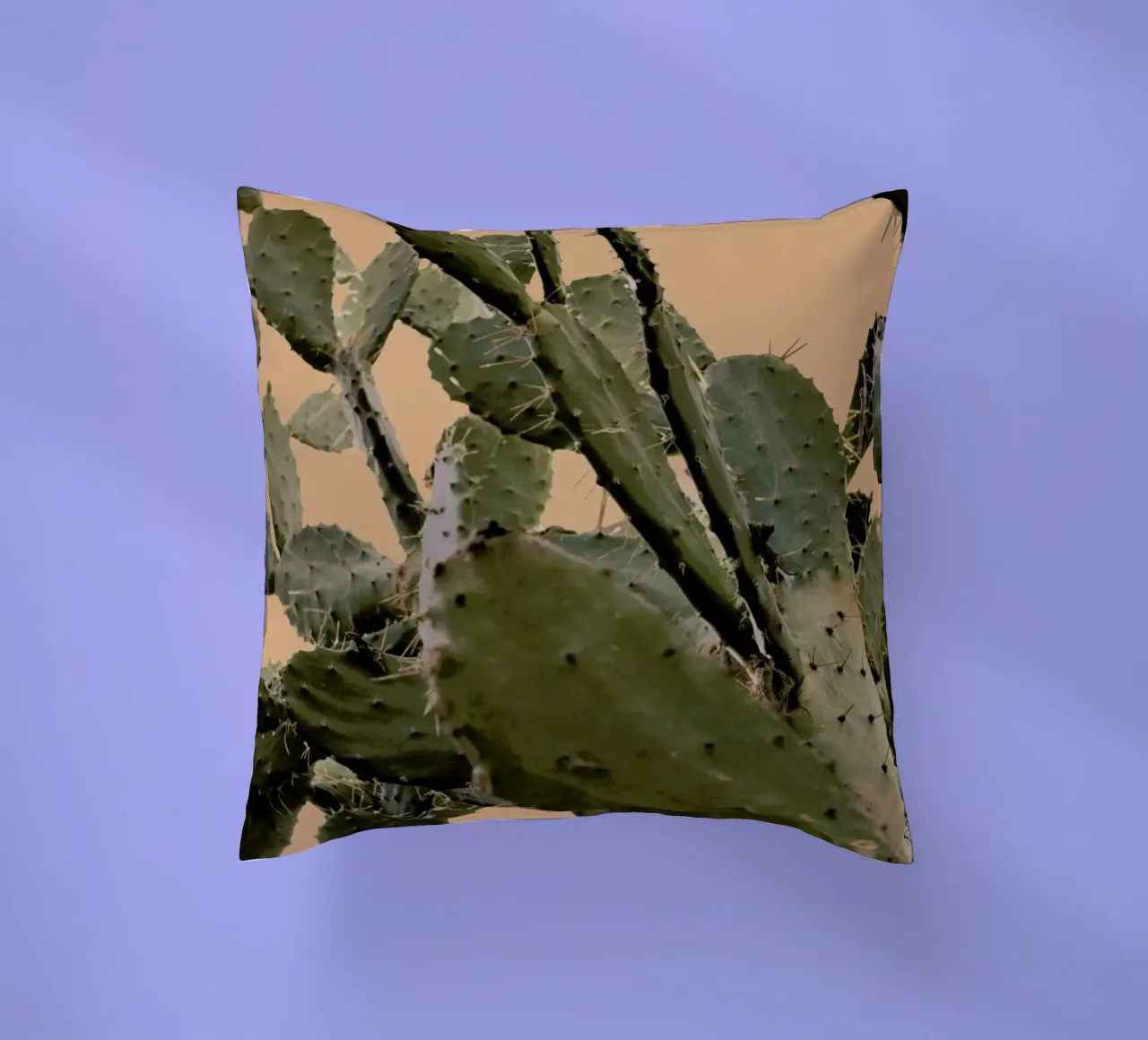 Cactus II cuscino da Elena Veronese