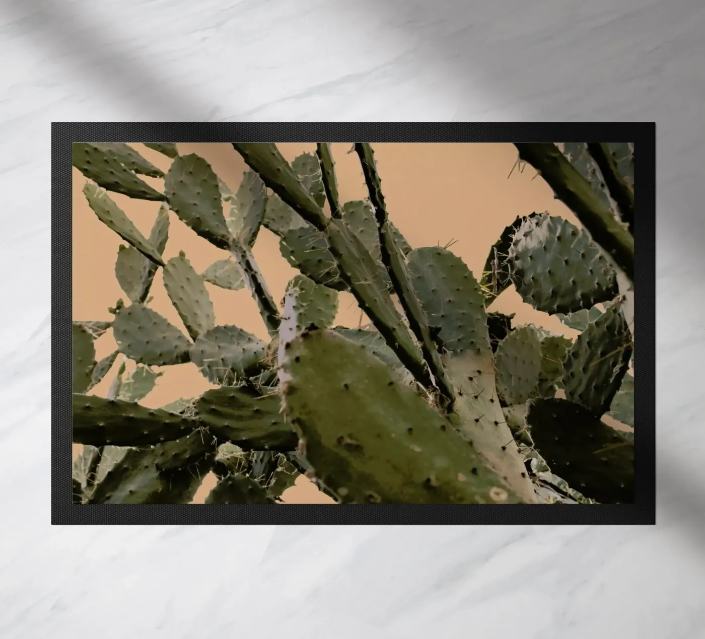 Cactus II zerbino da Elena Veronese