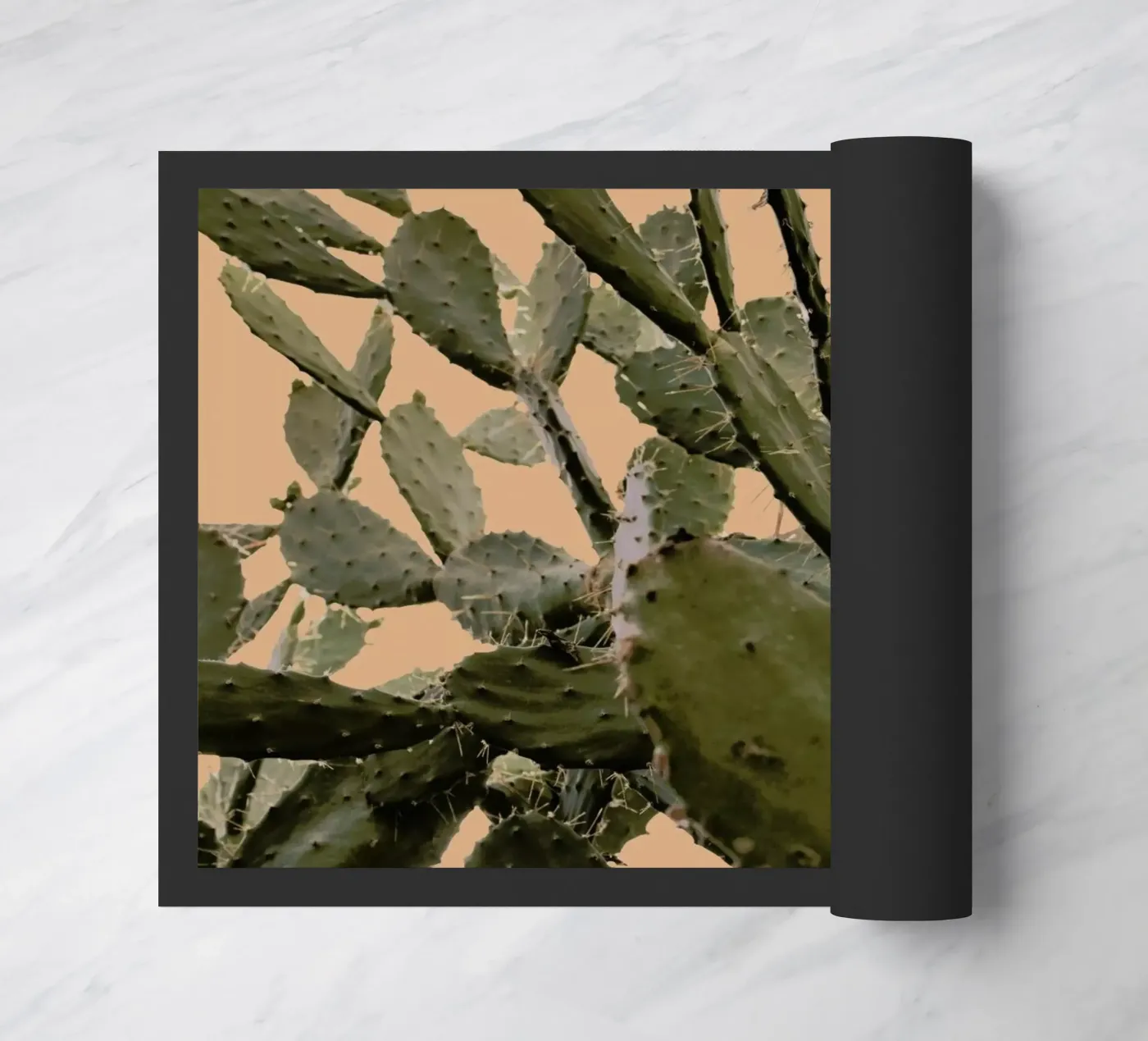 Cactus II zerbino da Elena Veronese