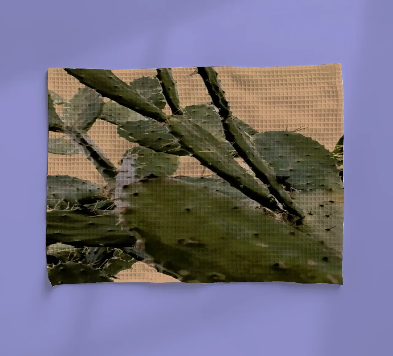 Cactus II canovaccio da cucina da Elena Veronese