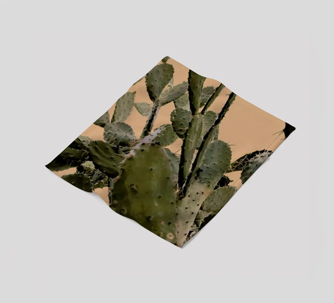 Cactus II coperta in pile da Elena Veronese