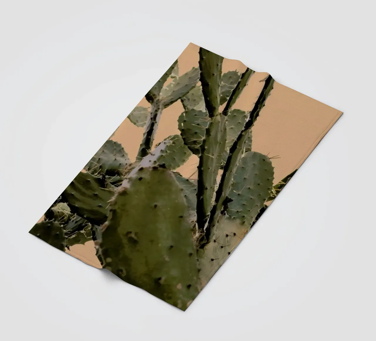 Cactus II coperta in pile da Elena Veronese