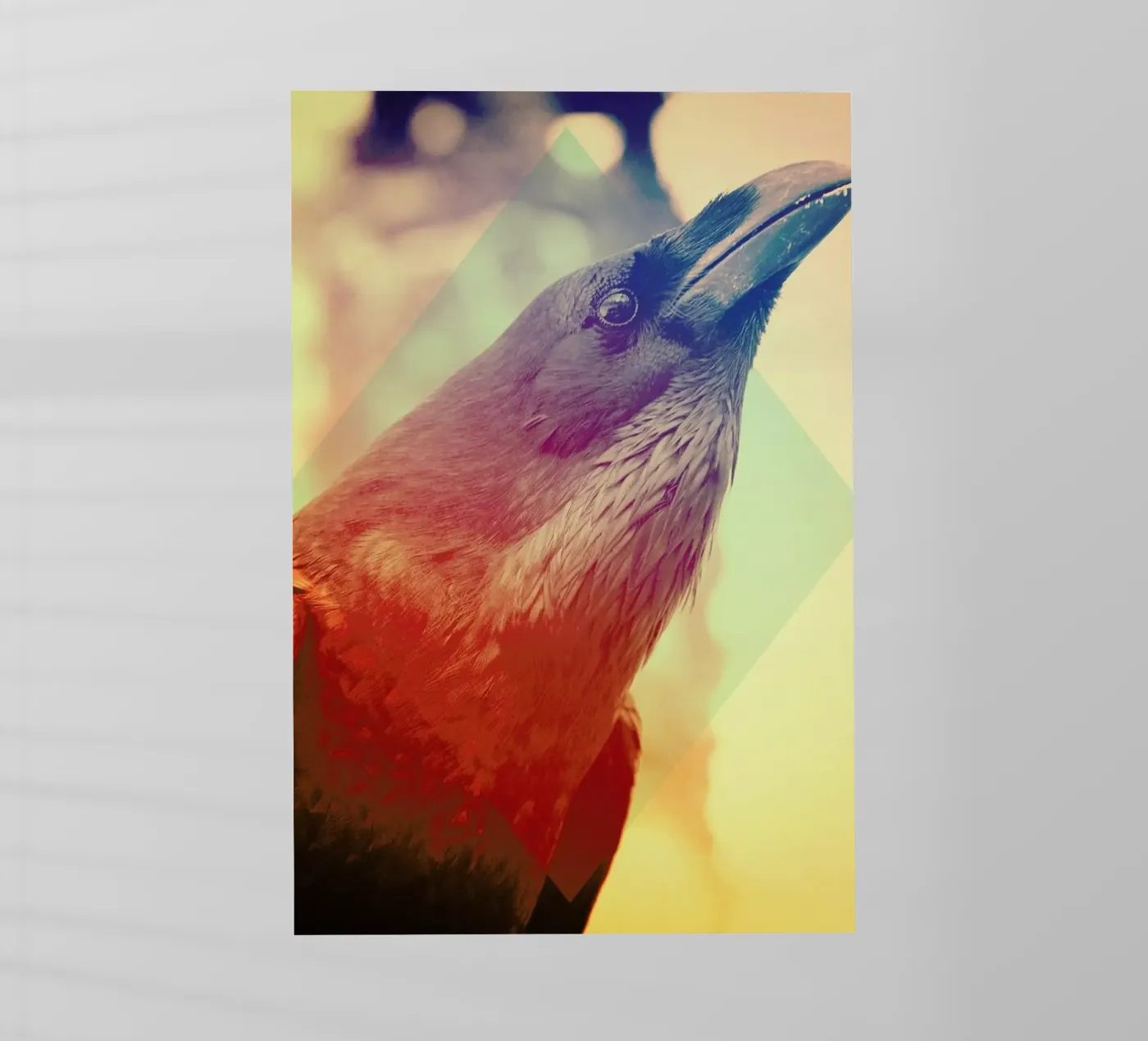 Crow backlit folie van Victorsbeard