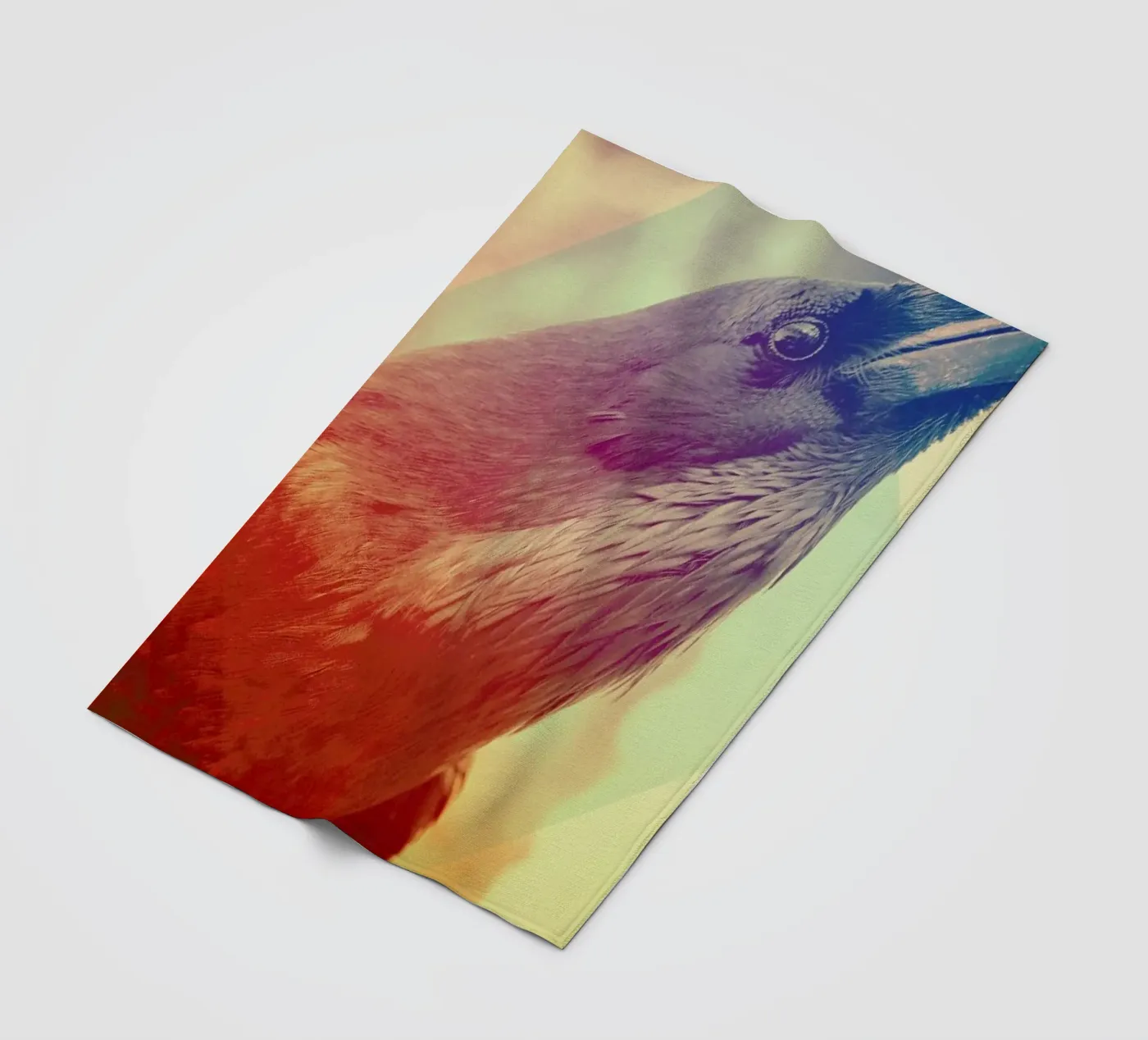 Crow Fleecedecke von Victorsbeard