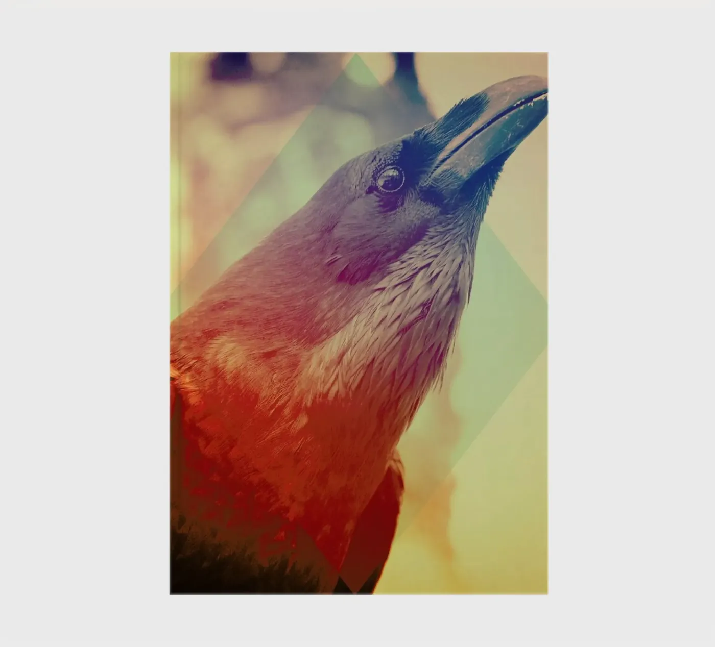 Crow notebook by Victorsbeard