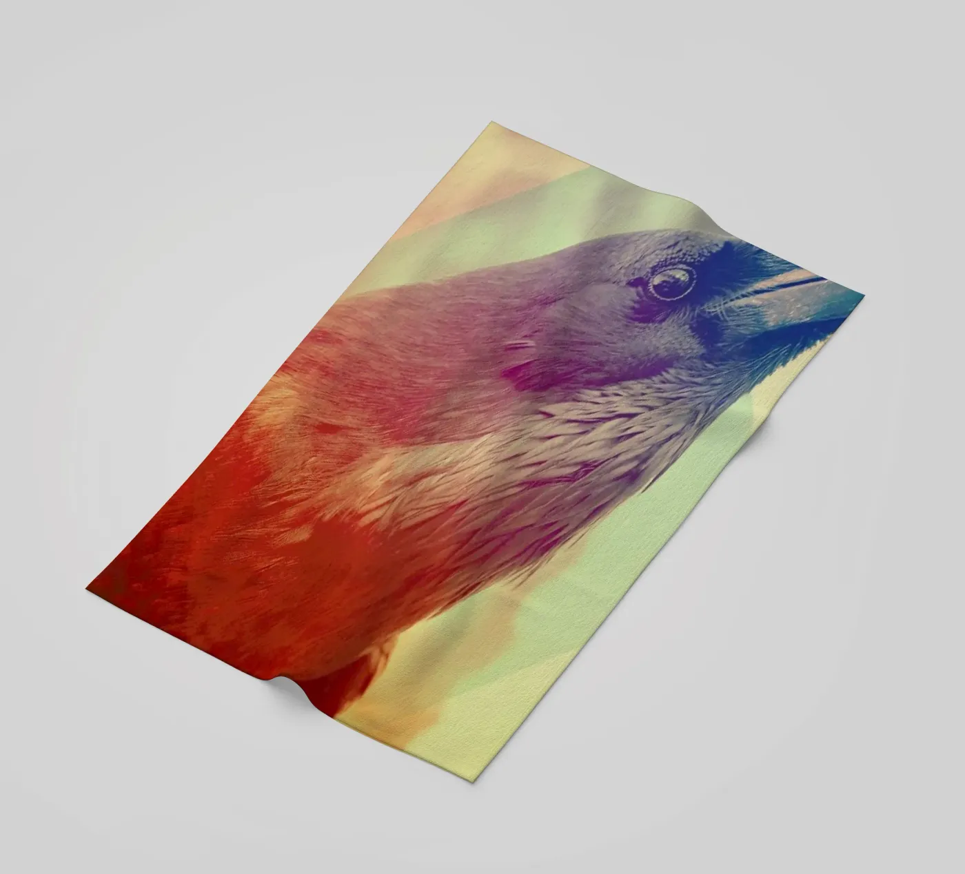 Crow telo mare da Victorsbeard