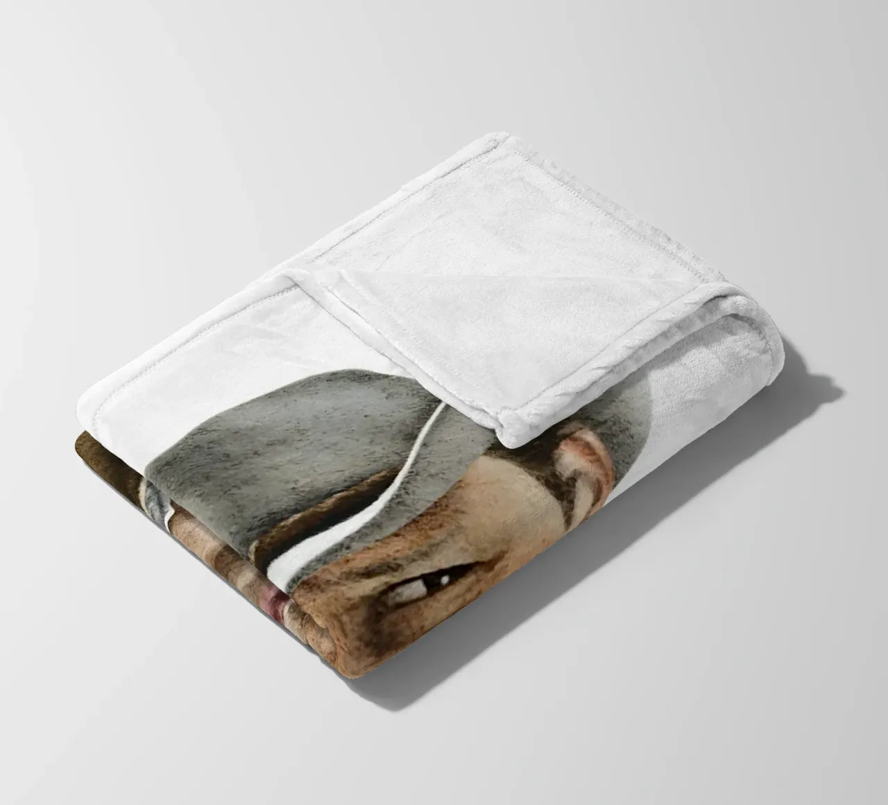 Brokeback Mountain coperta in pile da heiyoum