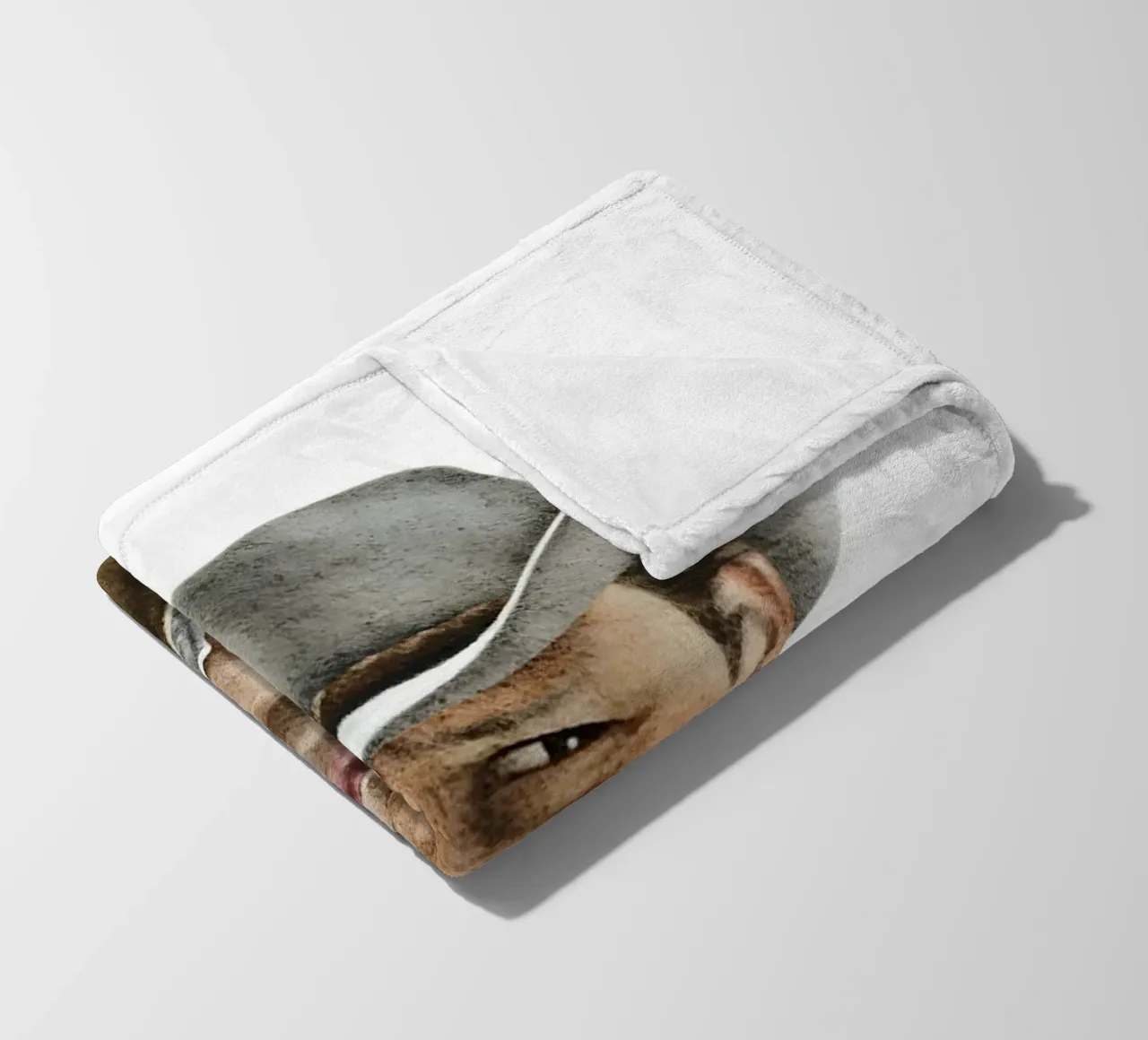 Brokeback Mountain coperta in pile da heiyoum