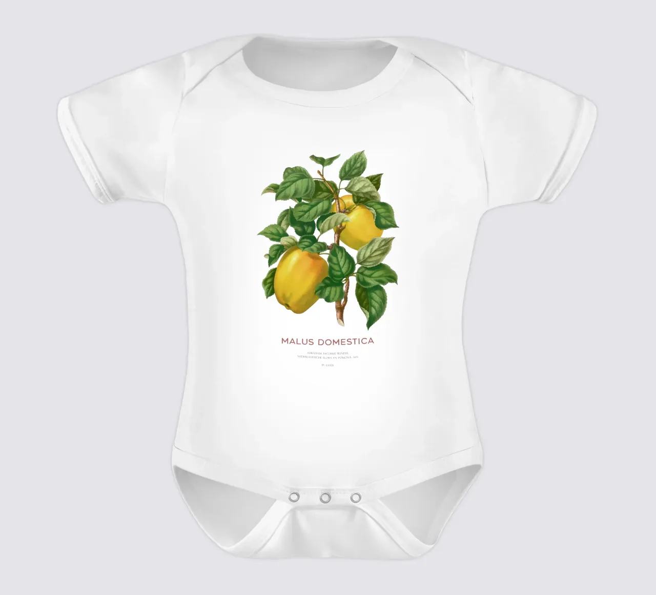 Gelber Apfel oder Malus domestica Kurzarm Babybody von Vintagrafica